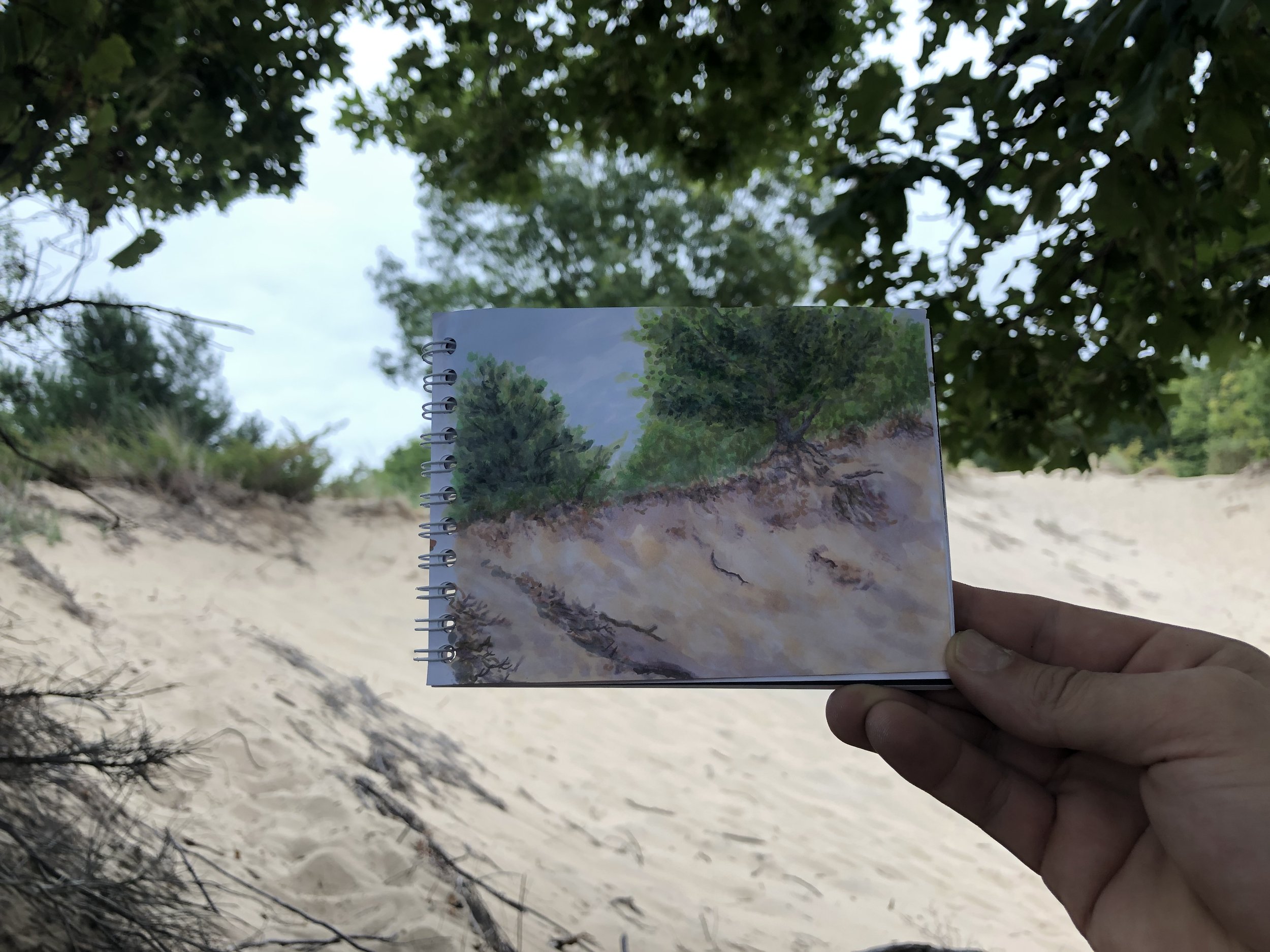 Rosy Mound Dune Study
3.5"x4.5" ink wash on paper
