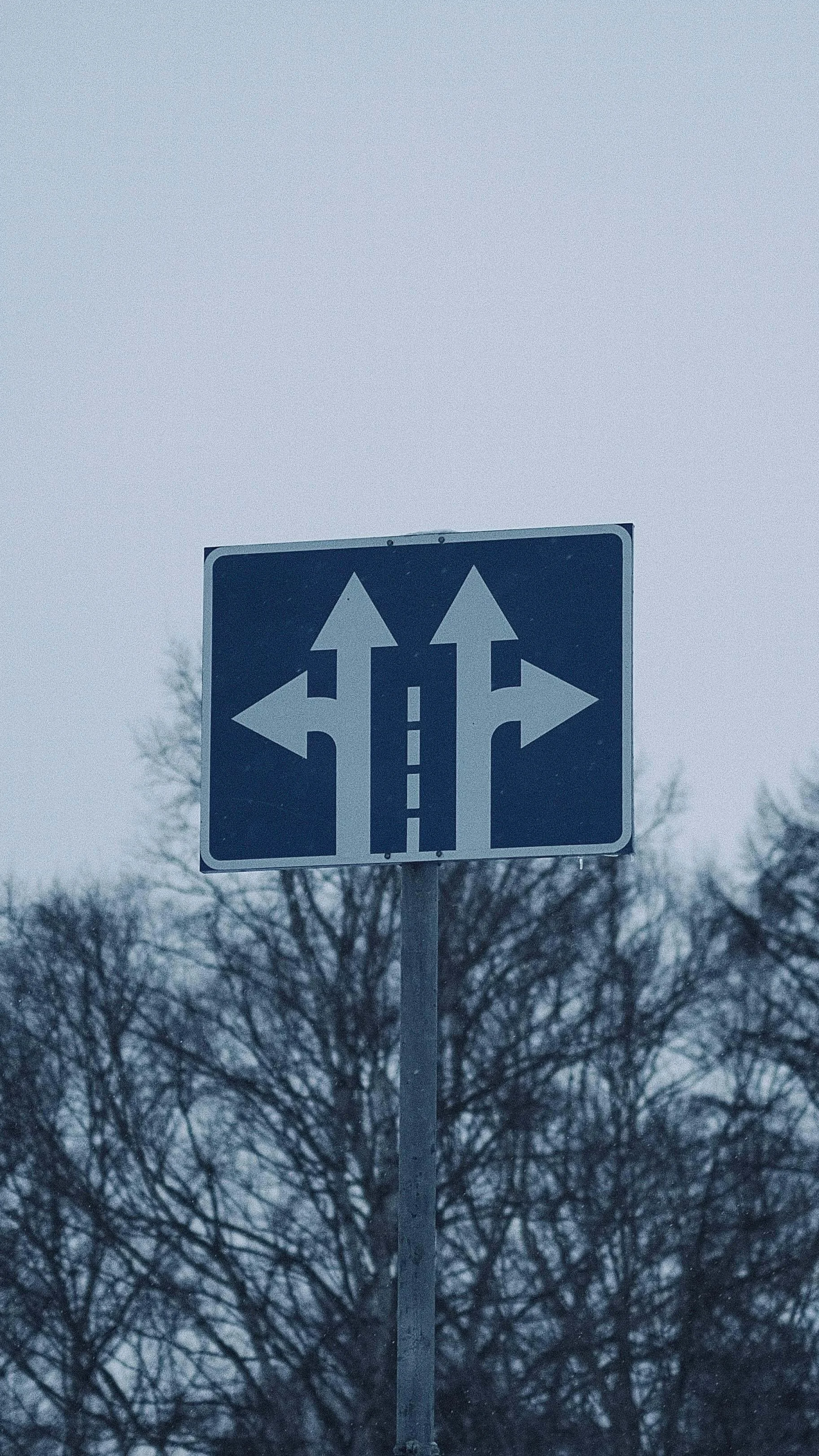 HR Policies vs. HR Guidelines: What’s the Best Approach for Small Businesses?