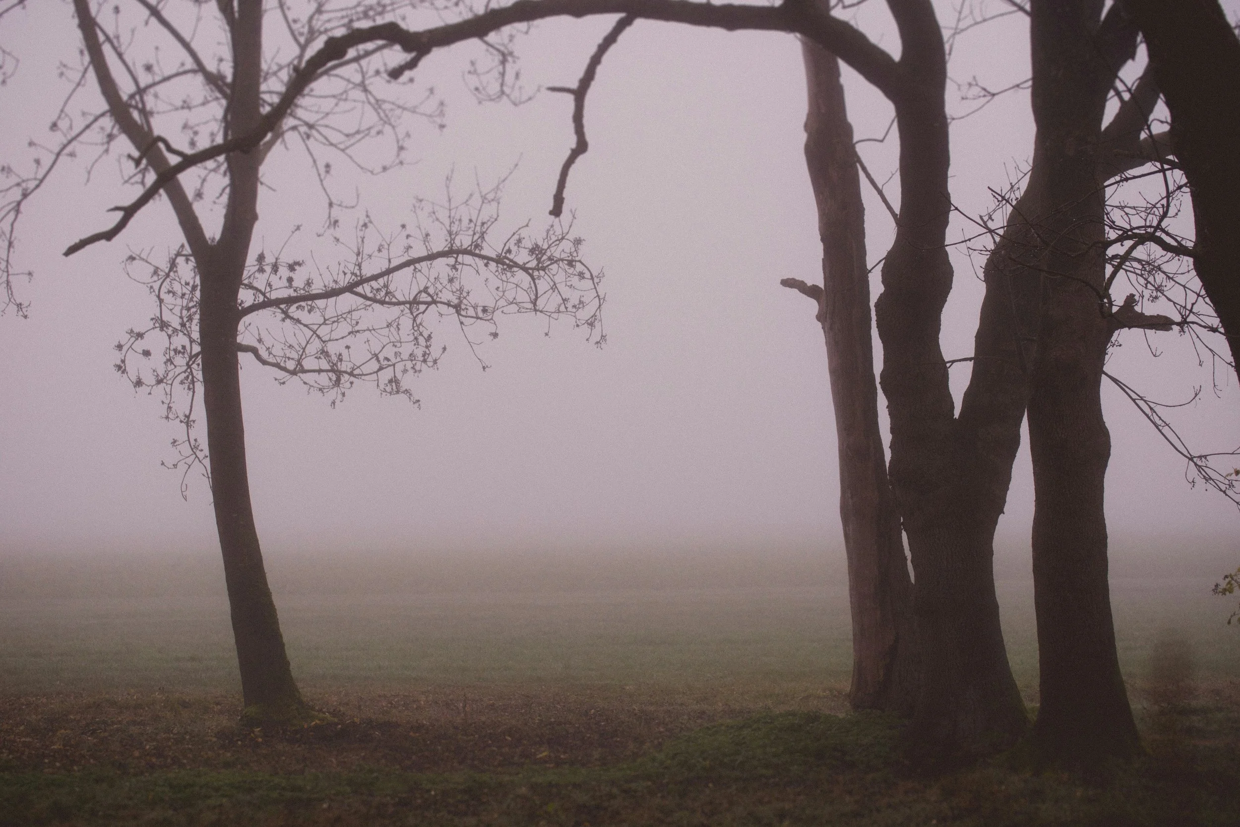 The query process includes being ghosted, ignored, and forgotten—and it's called “industry standard"