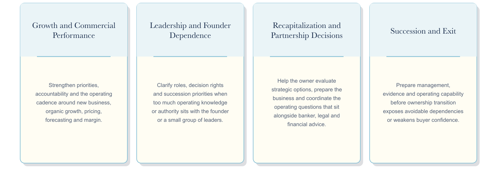 Owner and CEO advisory cards covering growth, leadership, partnership, recapitalization, succession and exit decisions.