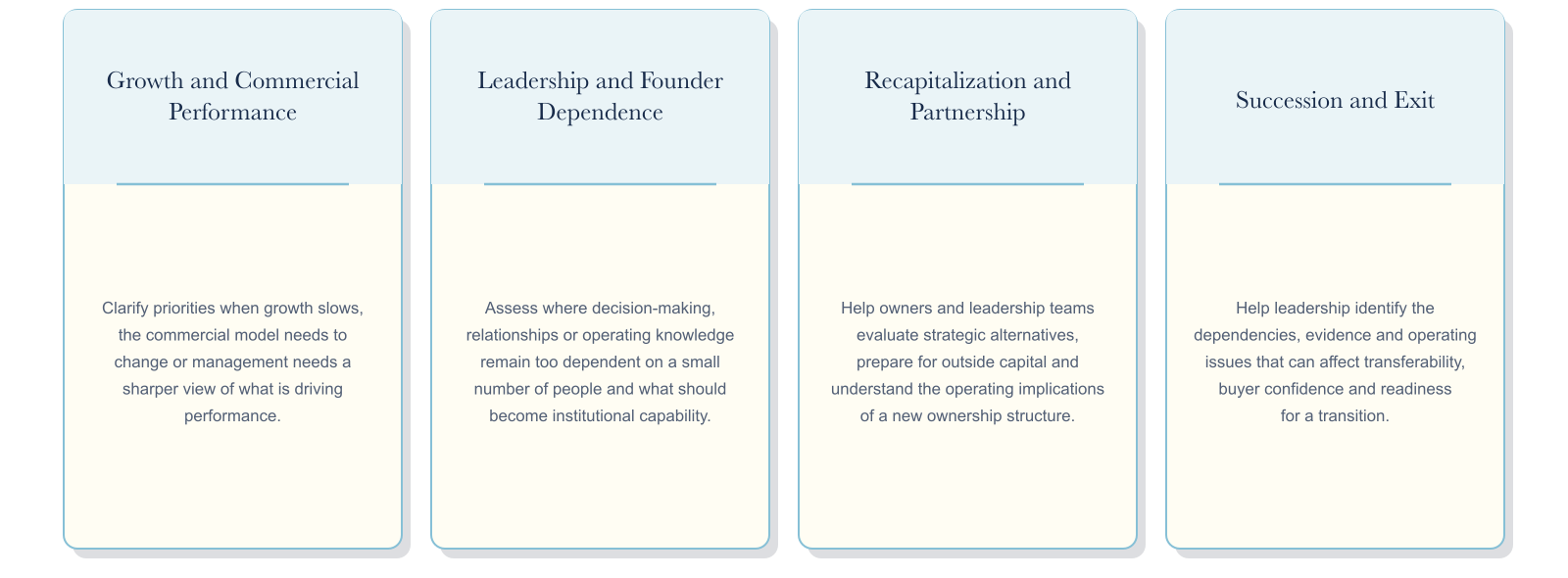 Board, CEO and owner advisory engagement cards for decisions that cut across strategy, ownership, governance and operations.