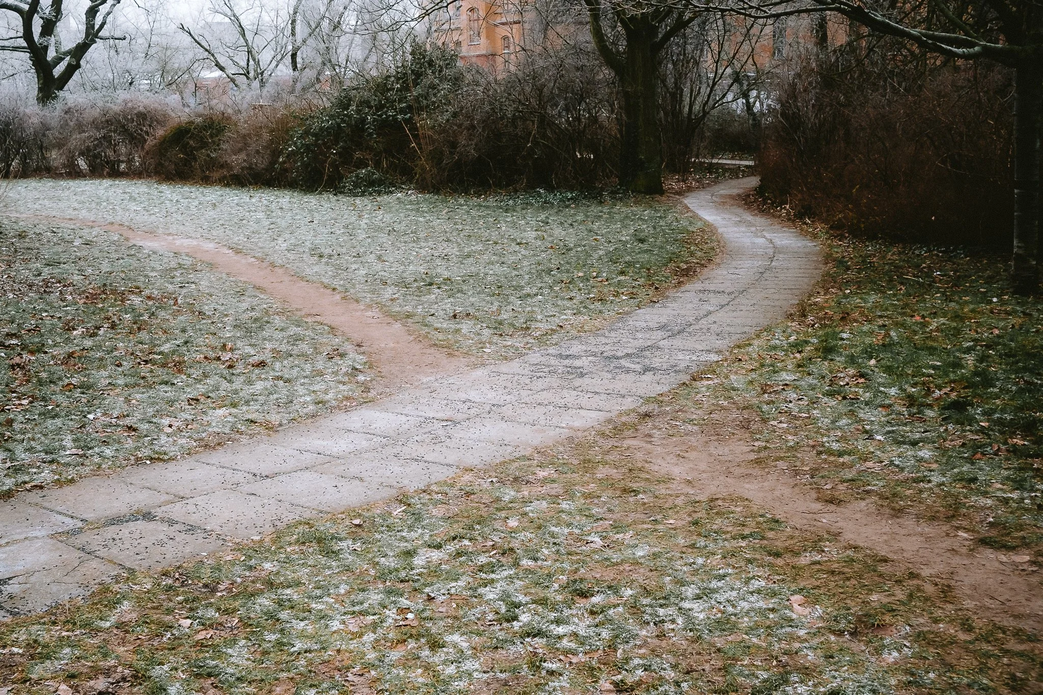 “The Winter Book” by Woofermagazine