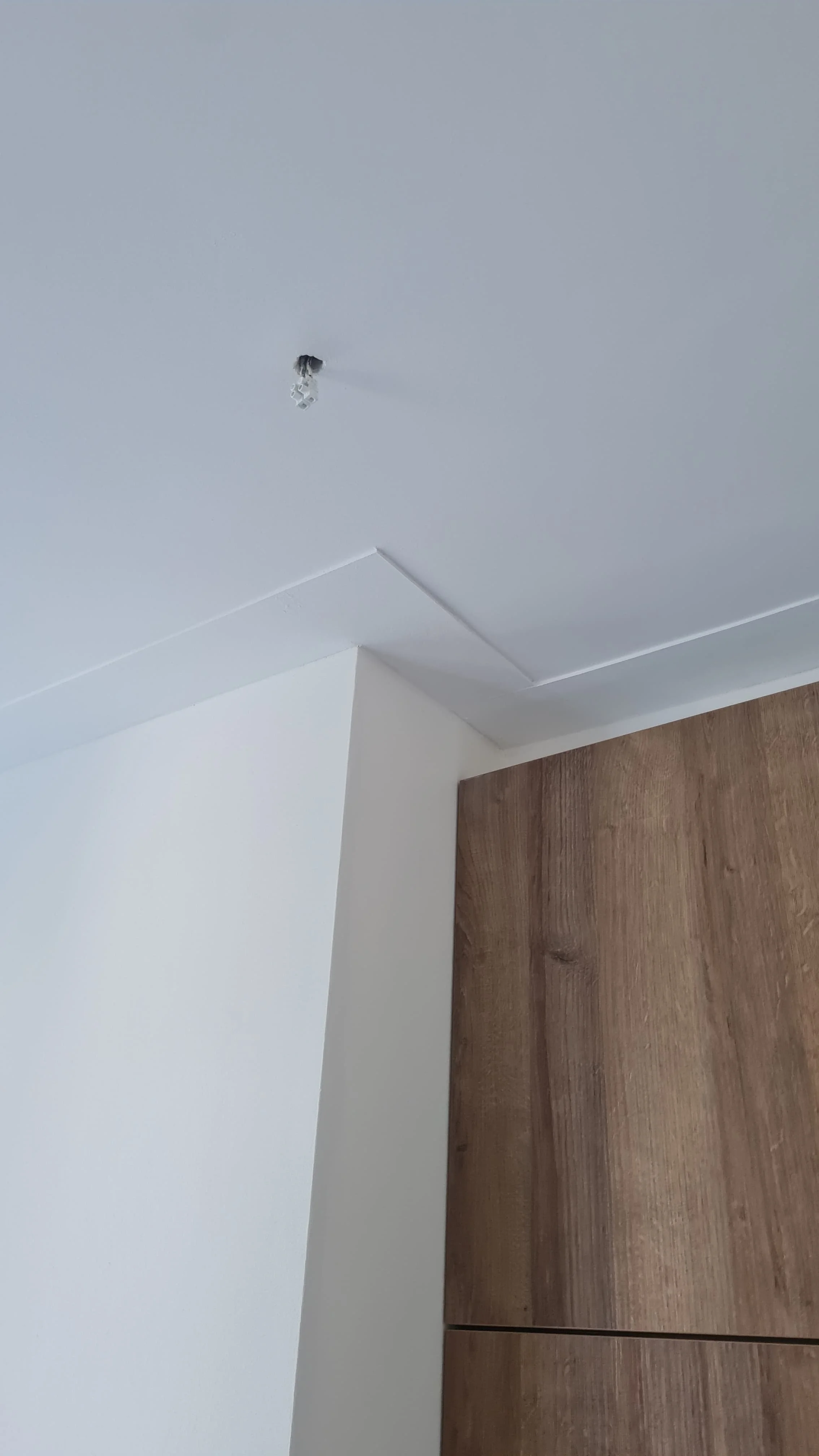 WhatsApp Image 2024-11-21 at 10.46.19 (1).jpeg