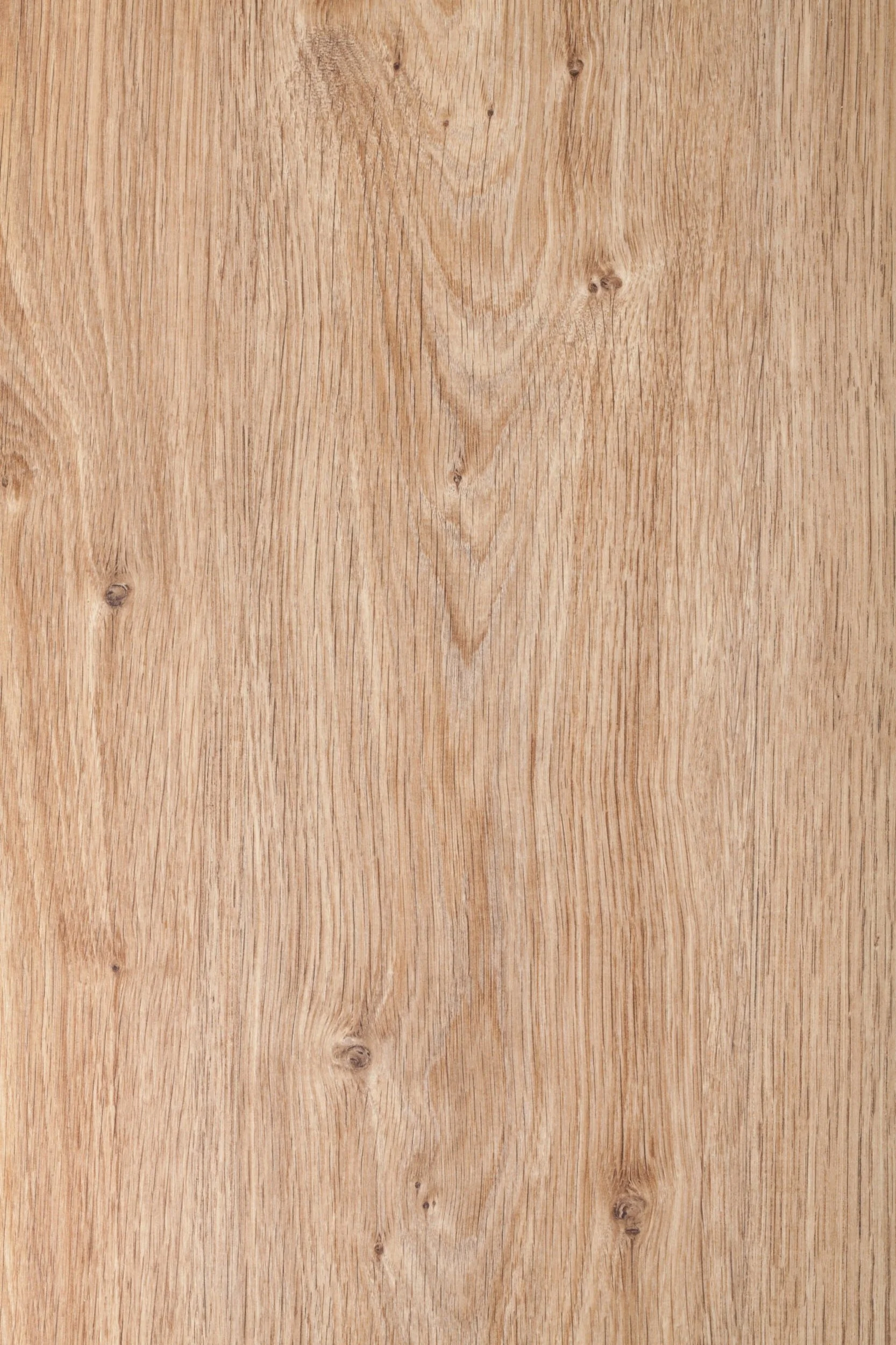 European-oak-panels-scaled.jpg
