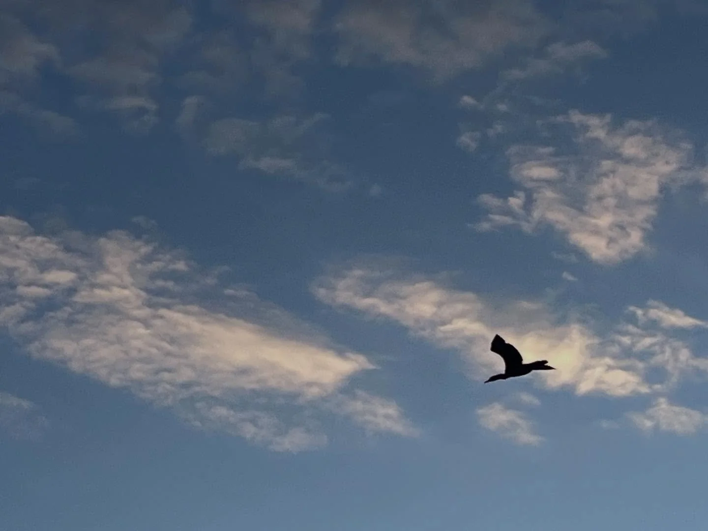 Some sun between the storms today (oh those metaphors again☺️). I need to spend some of every day outside. #rejuvenating #fourmiles