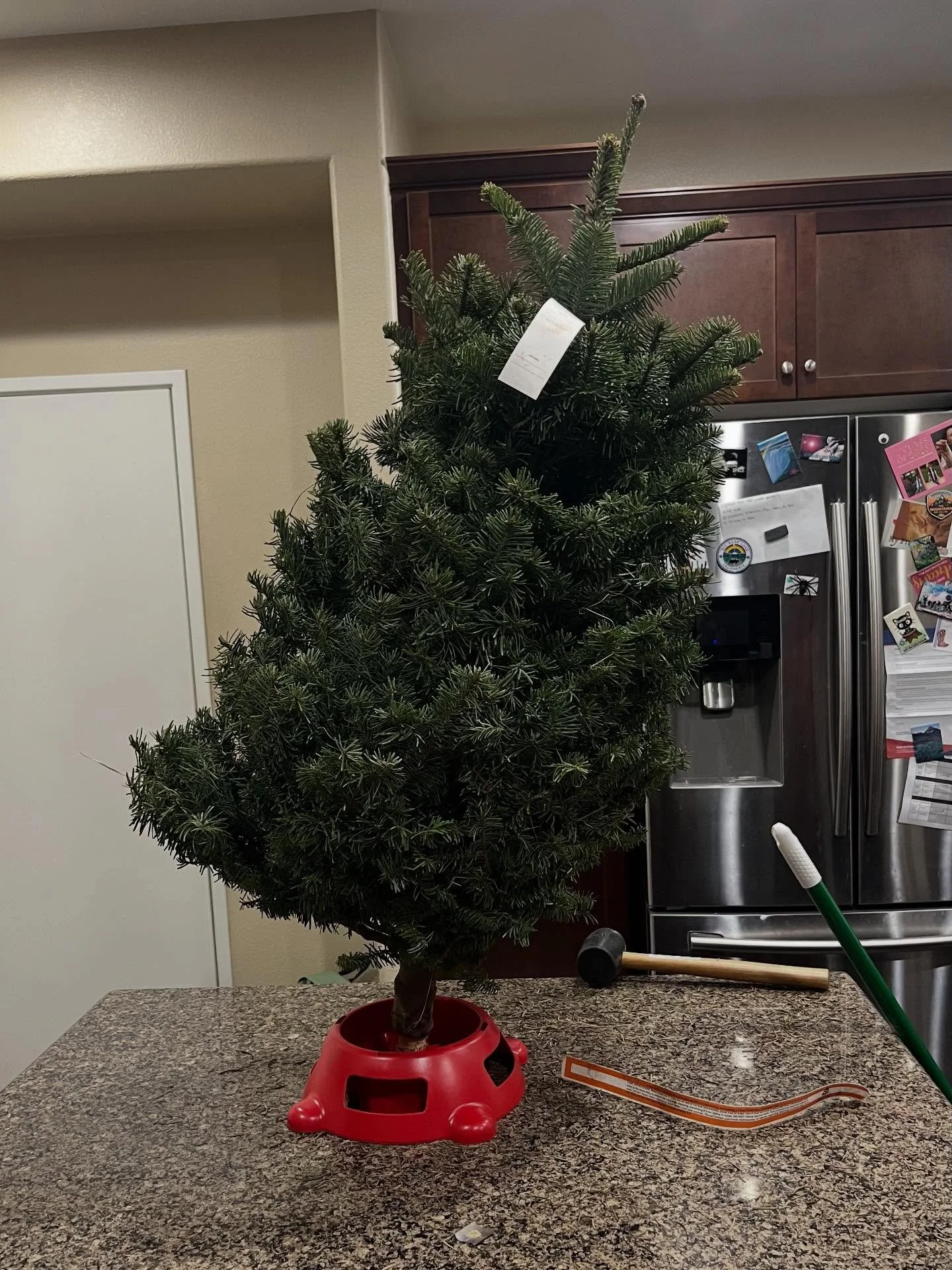 Our Seussical tree🤣 There was no way to know at the Christmas 🎄 shop. Go back or keep?