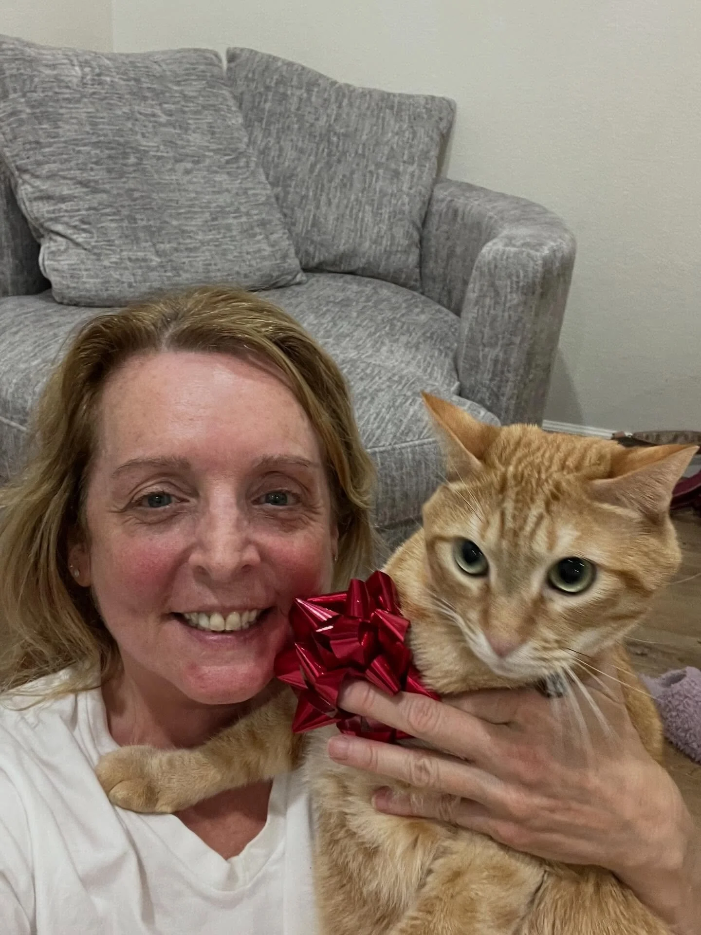 My reluctant partner in crime (wrapping presents). He keeps eating the bows!