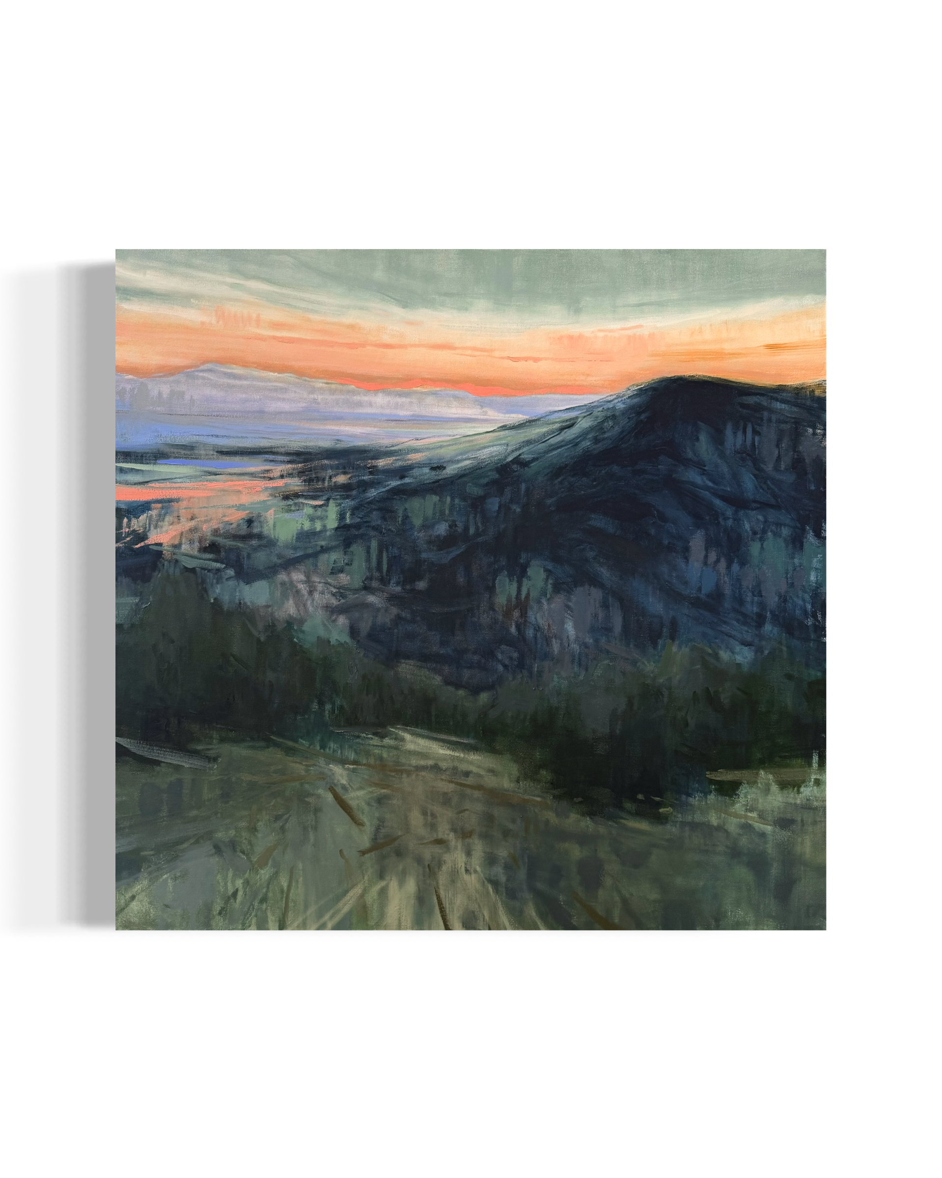 LLT_fading_46x48in_oil canvas.jpeg