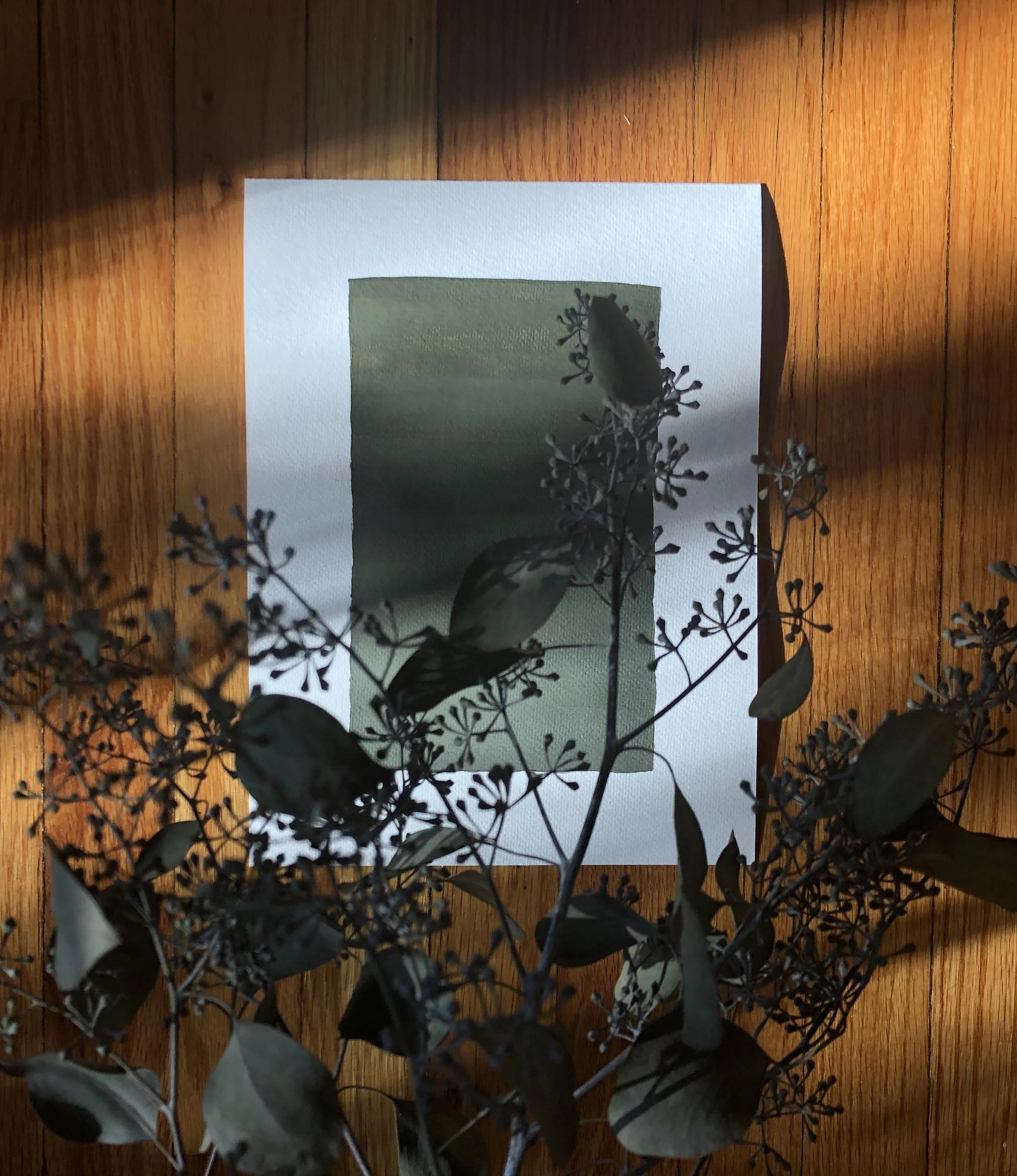 Top-down view of a paper with a green rectangle on a wooden surface, partially covered by dried dark leaves and branches.