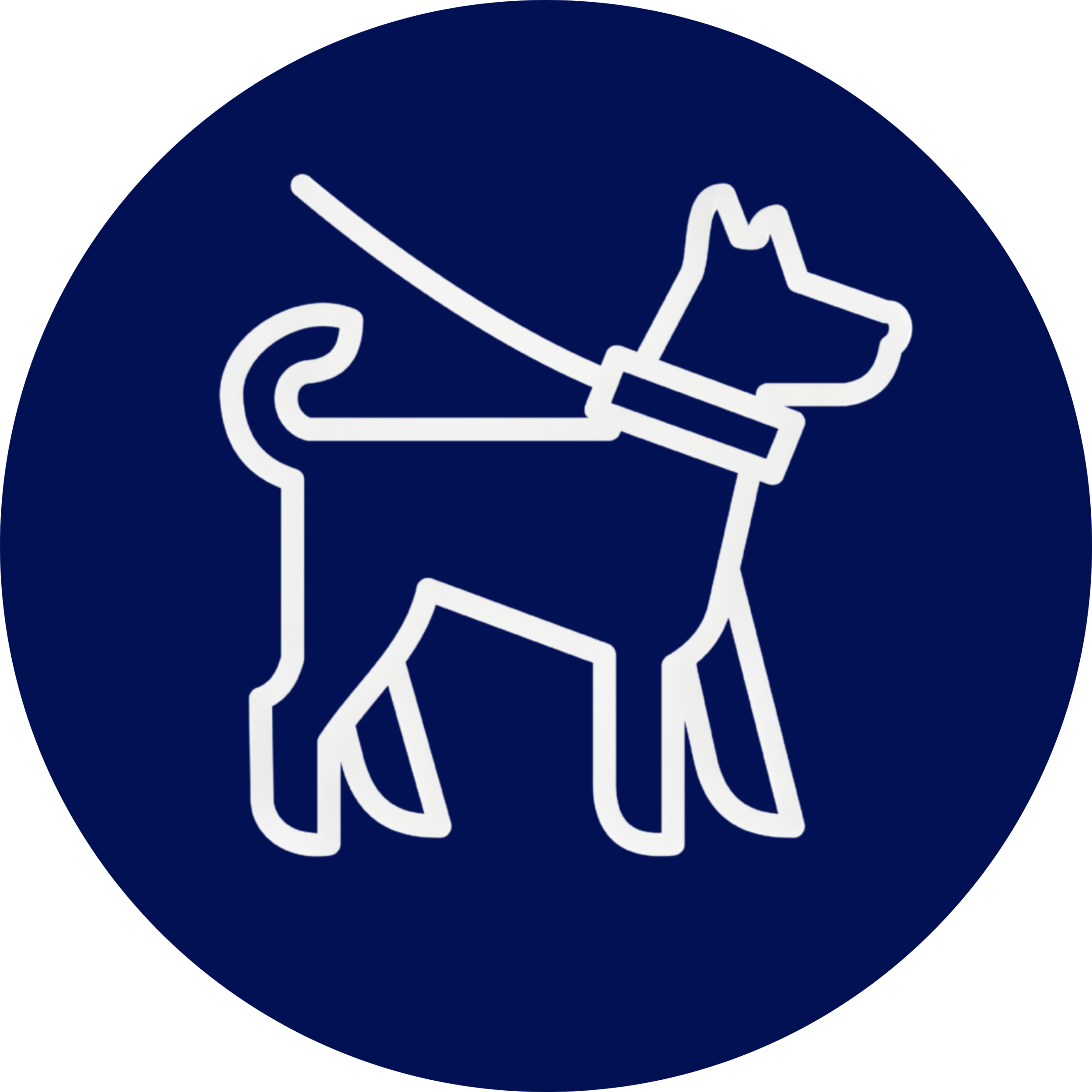 Petty Kings Ptown Provincetown Pedicab Dog Walking Dog Sitting Pet Sitting Dog Parks Icon