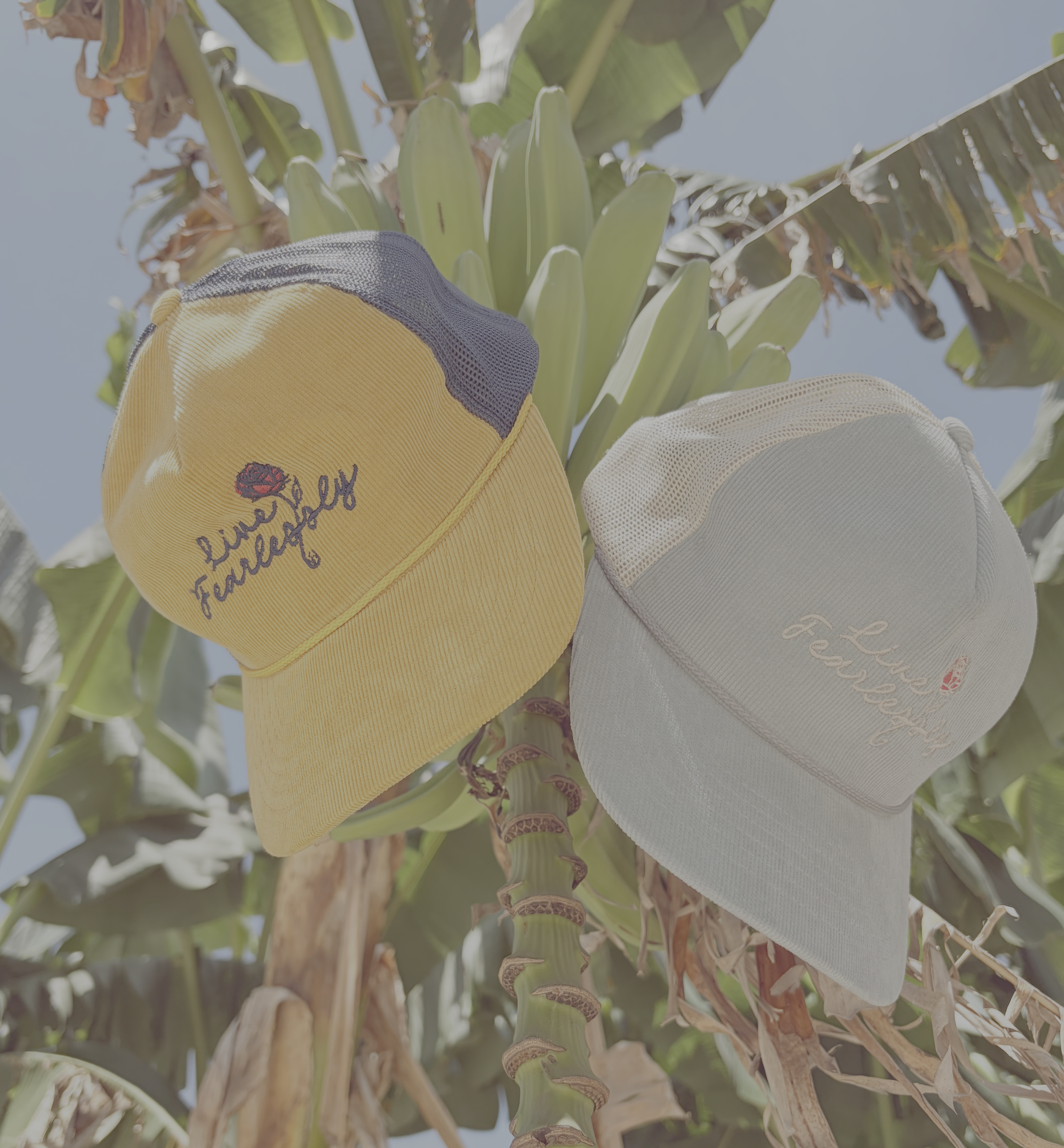 snapbackretro.png