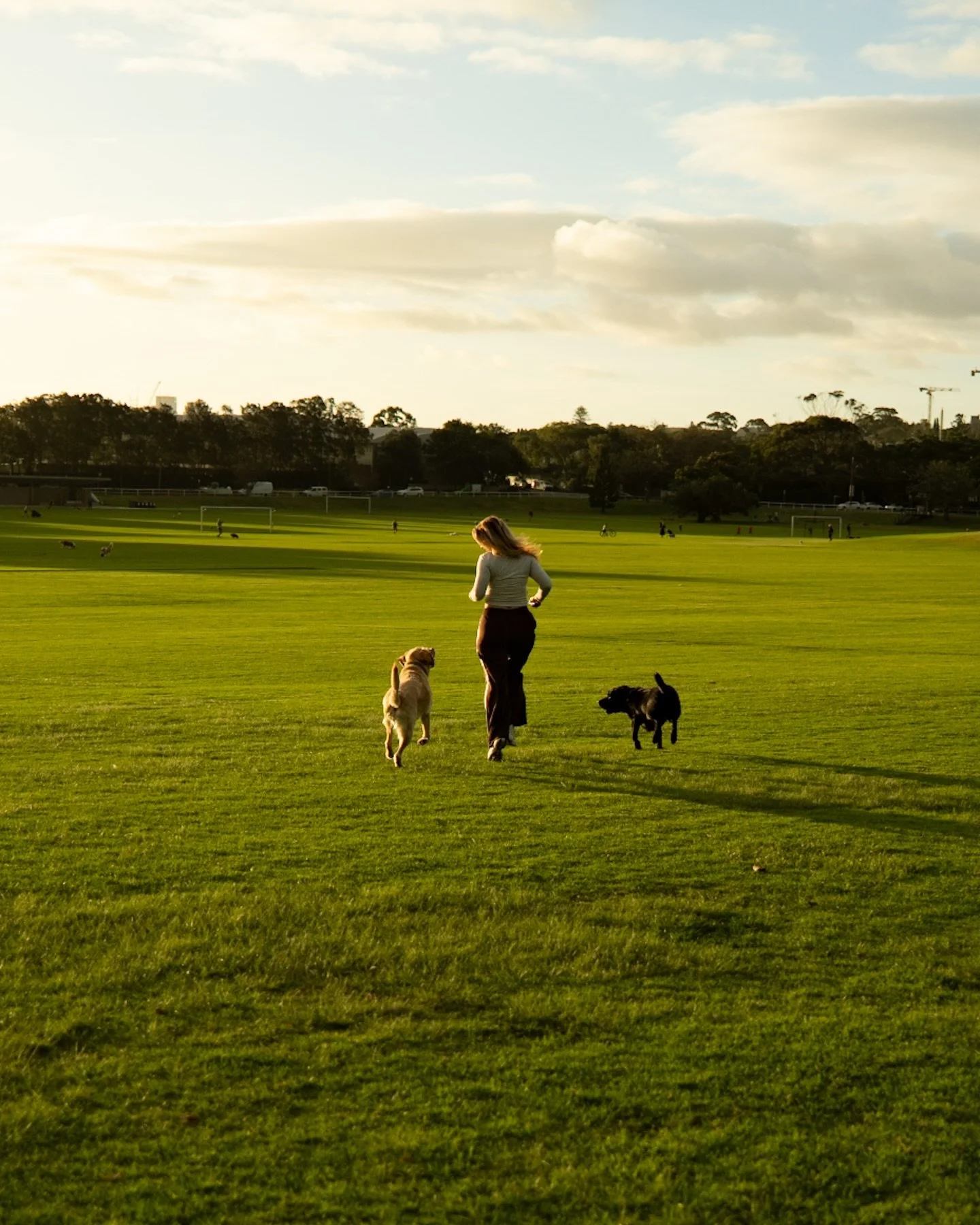 A moment for our Easter @madpawsau guests 2 &amp; 3: Franco &amp; Scout