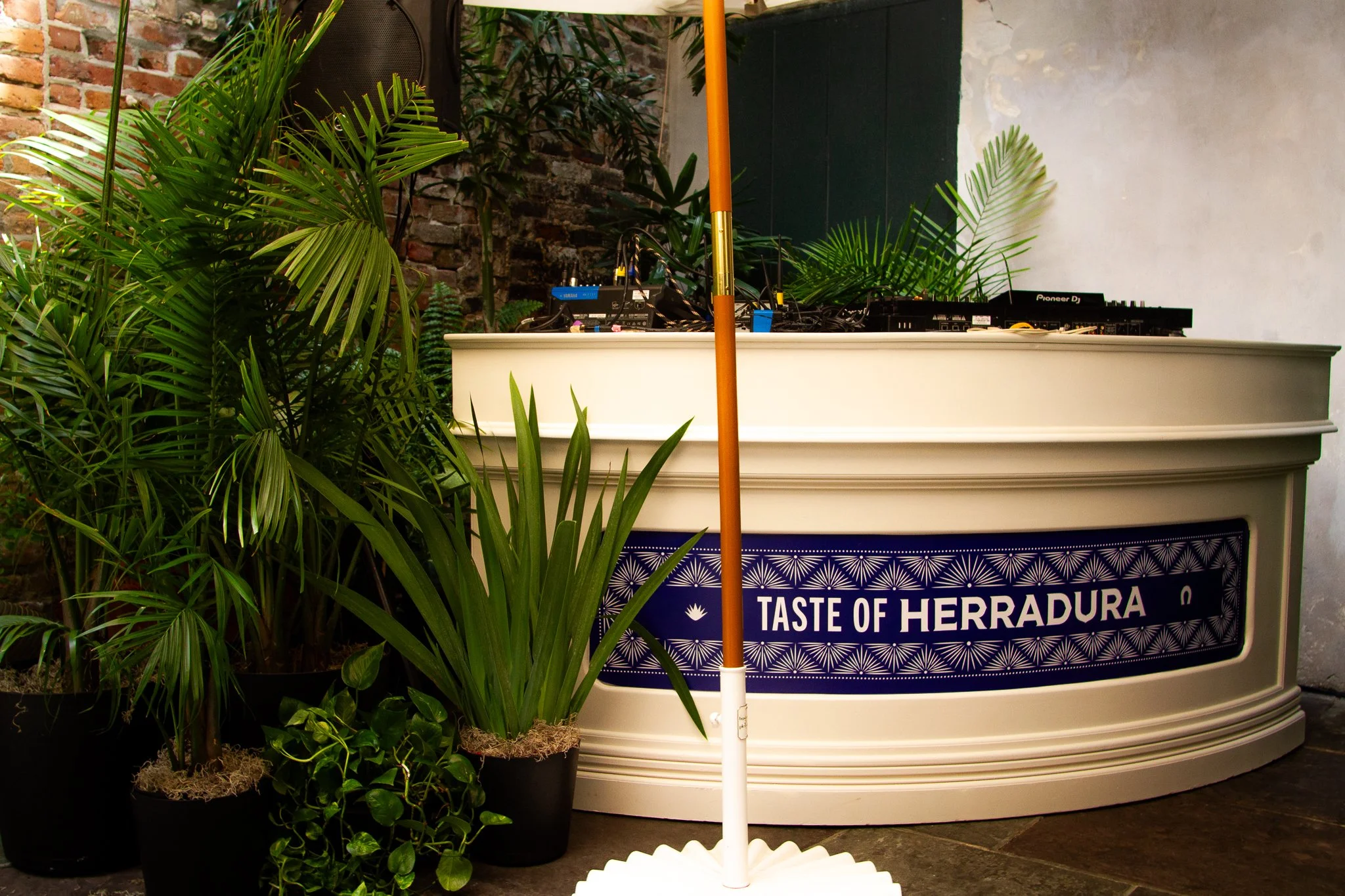 Rental plants used to anchor bar fronts and serve as focal points.