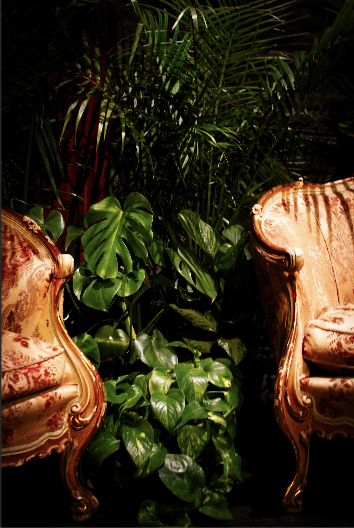 Designer-curated greenery and plant rentals for New Orleans corporate events