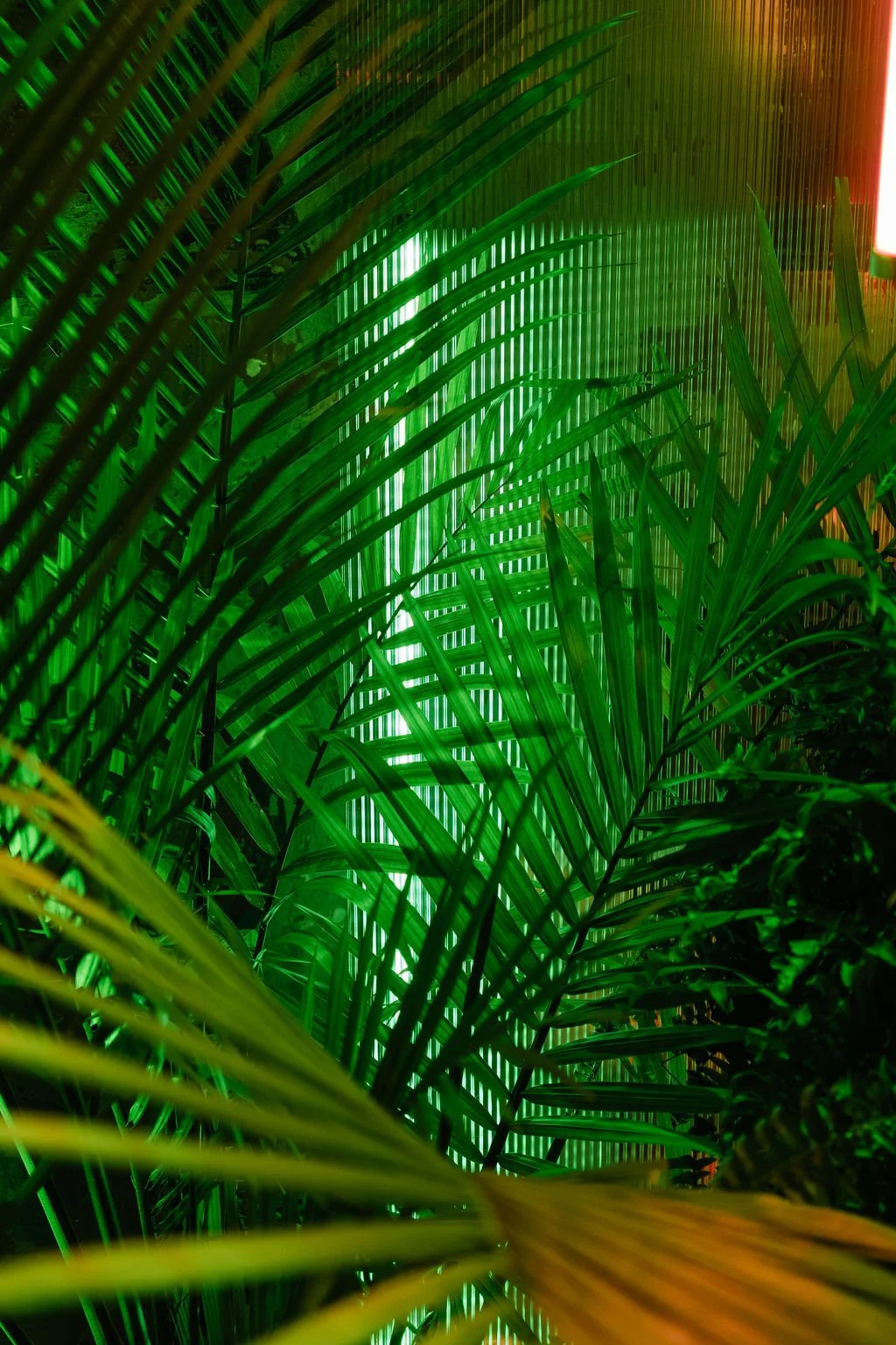 new-orleans-corporate-plant-rentals-disco-theme.jpg