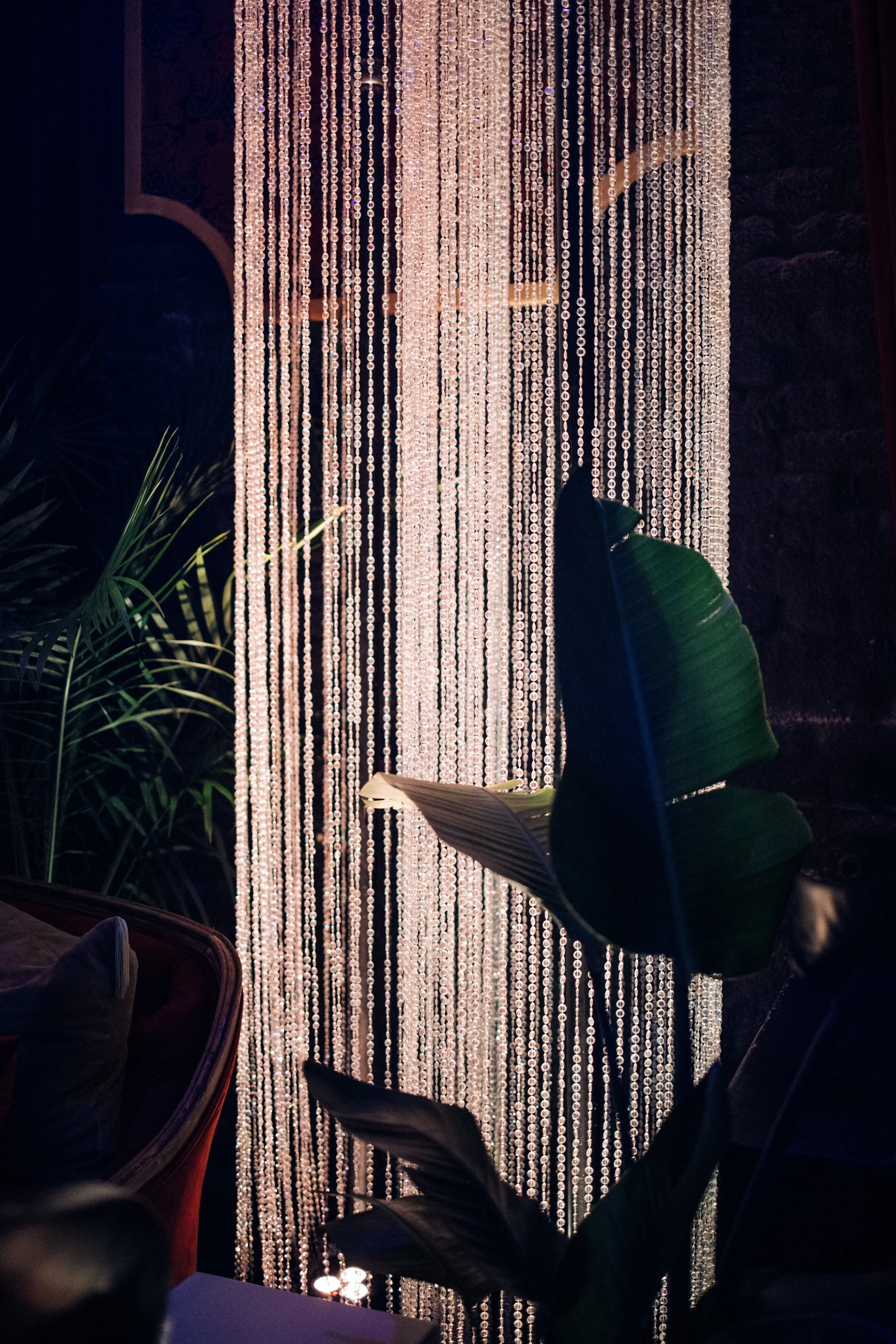Sustainable plant rentals for thoughtful and elevated event design.