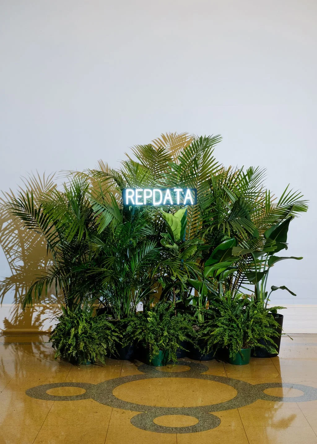 Designer plant groupings elevating event lounge decor.