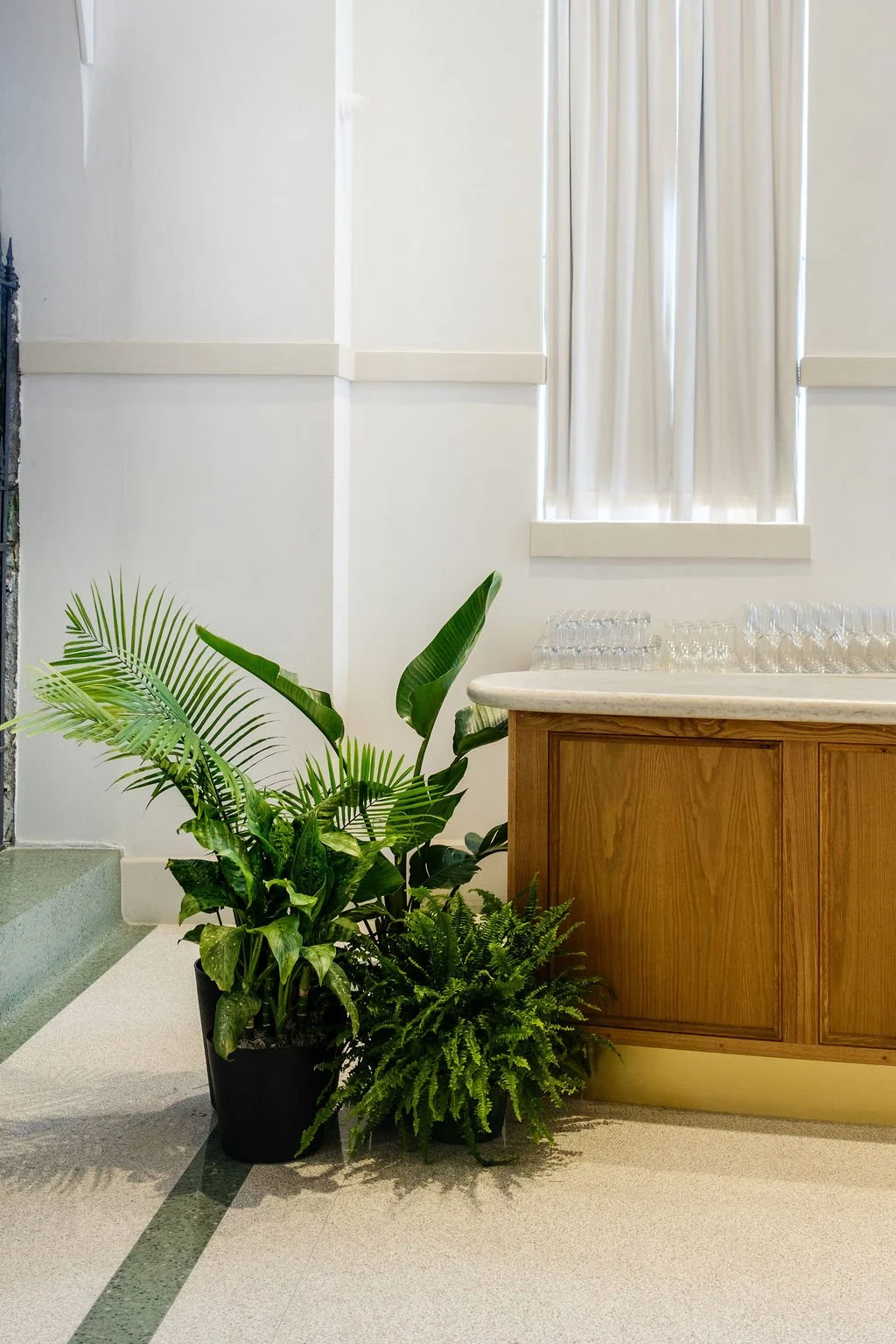 new-orleans-plant-rentals-wedding-bar-greenery-wall.jpg