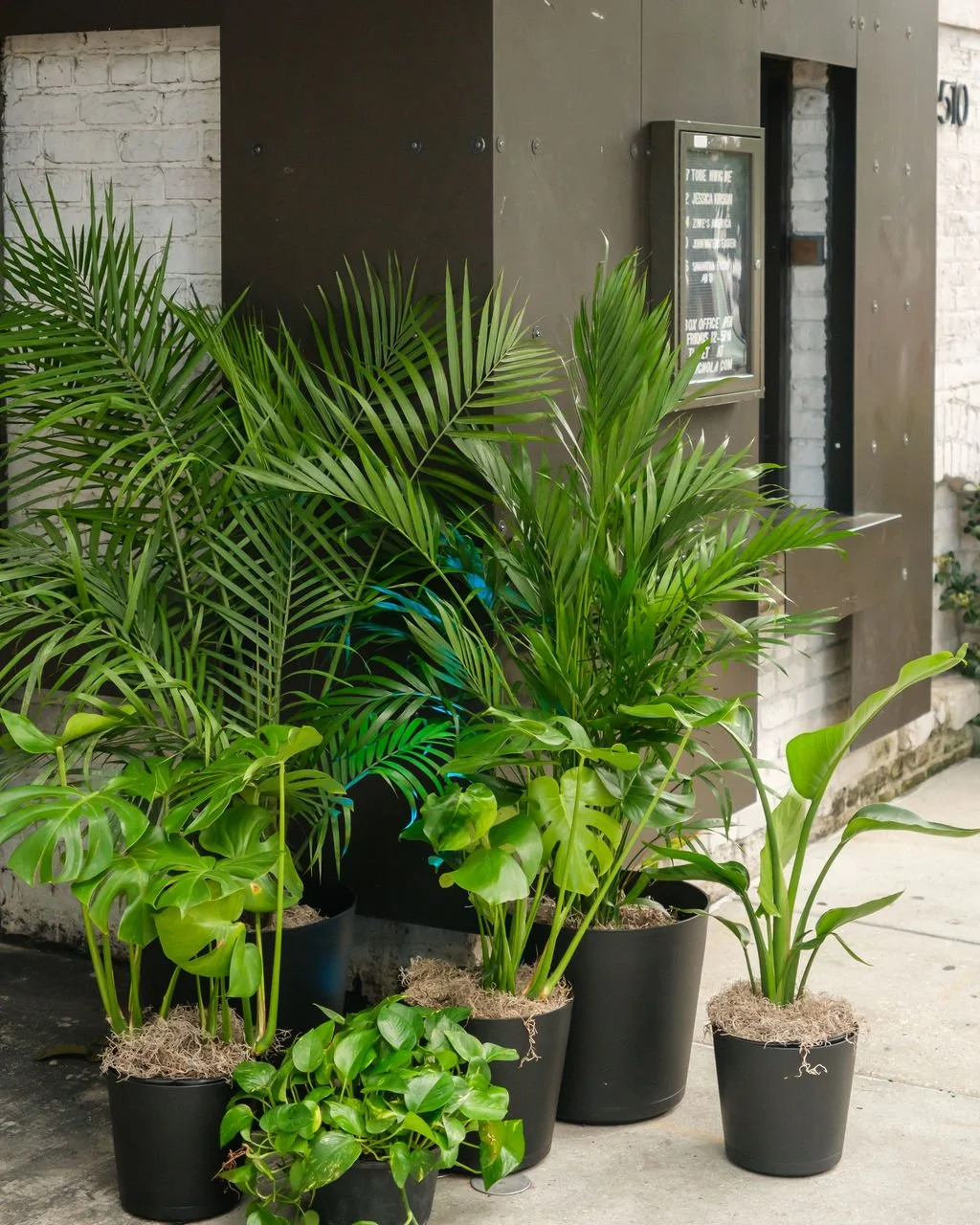 Medium Welcome Moment