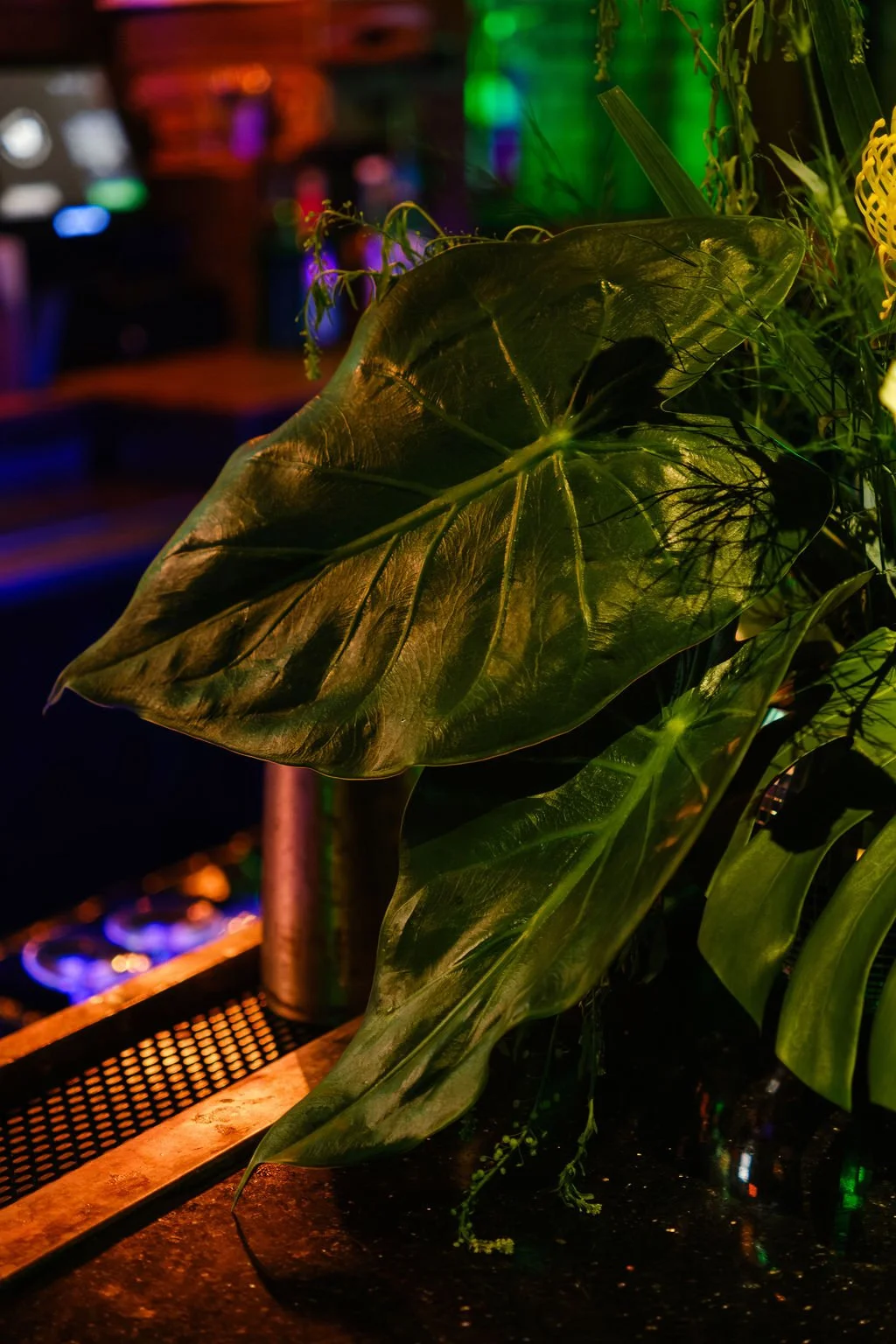 new-orleans-plant-rentals-tropical-cocktail-tables.jpg