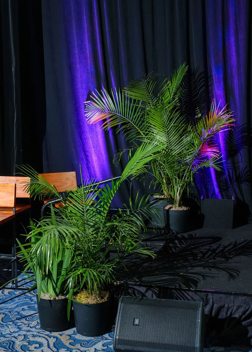Tropical plant rentals designed to elevate every event space.