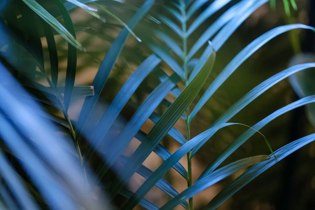 Sustainable greenery rentals creating beautiful event backdrops.