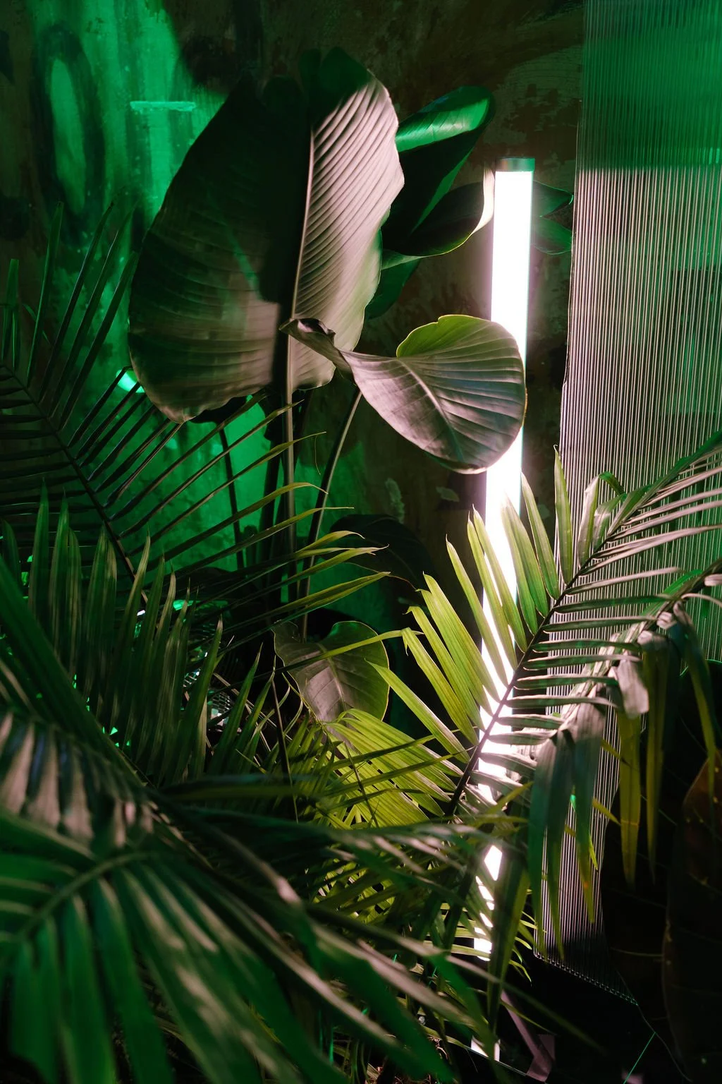 tropical-event-plant-rentals-bar-backdrop-nola.jpg
