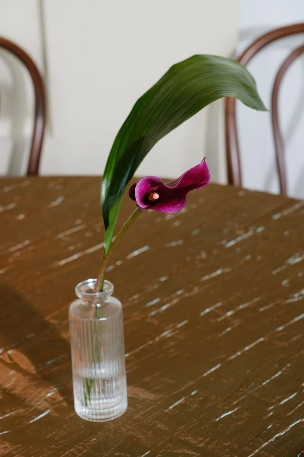 New Orleans event florals and plant rental services. Lush foliage-forward tablescapes with fresh floral details.