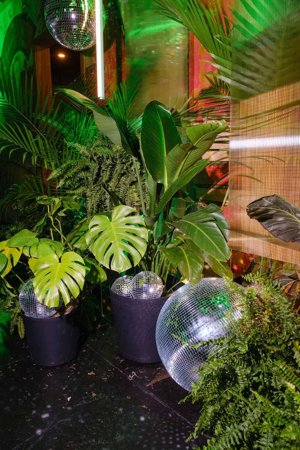 new-orleans-event-design-plants-rental-disco-theme.jpg