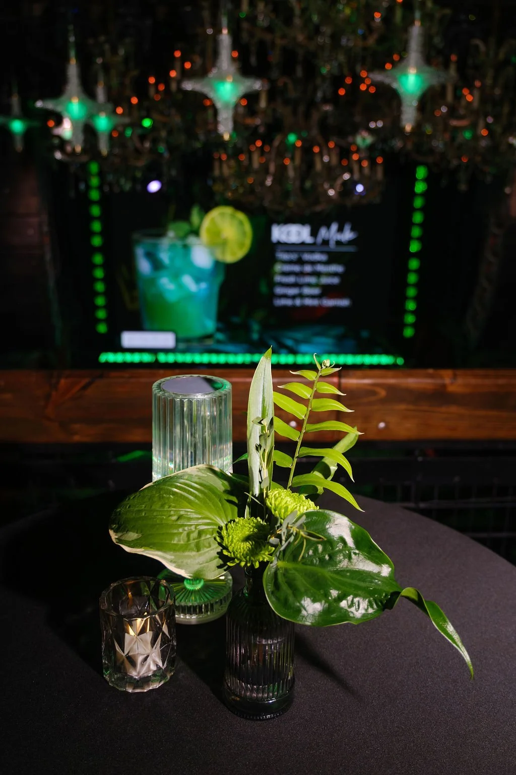 new-orleans-event-plant-rentals-tropical-lounge-vibes.jpg