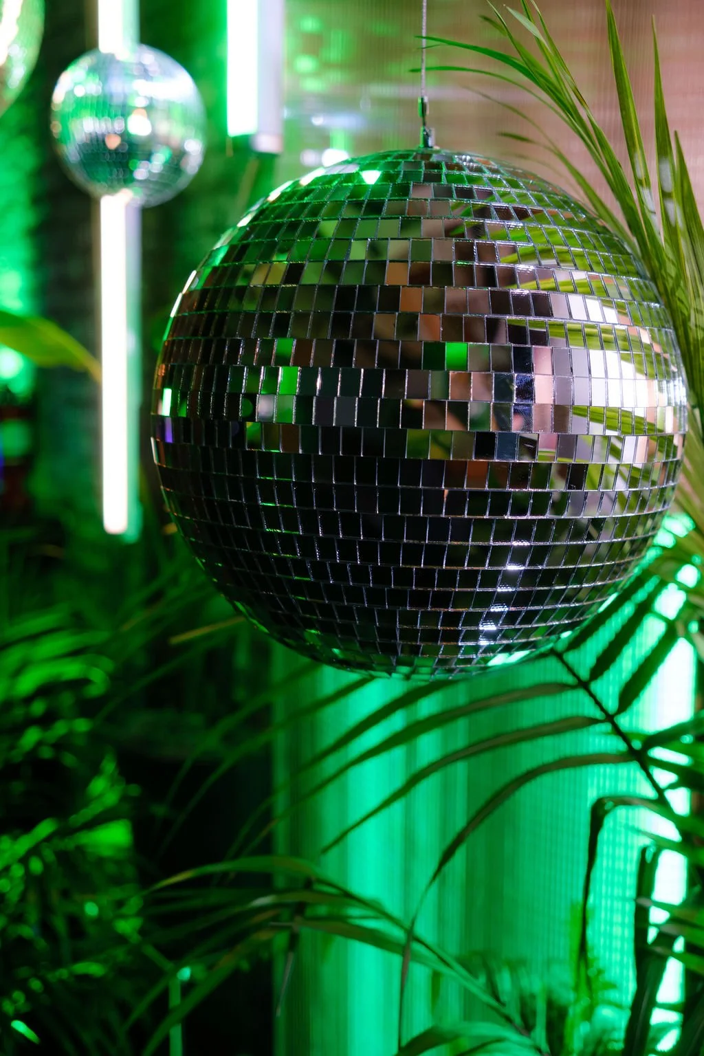 rolling-stone-party-tropical-greenery-photo-moment-nola.jpg