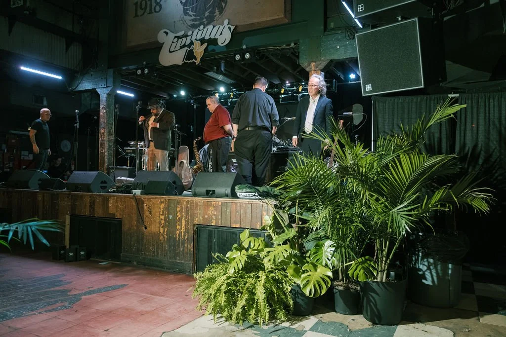 New Orleans plant rentals specializing in styling and sustainability.
