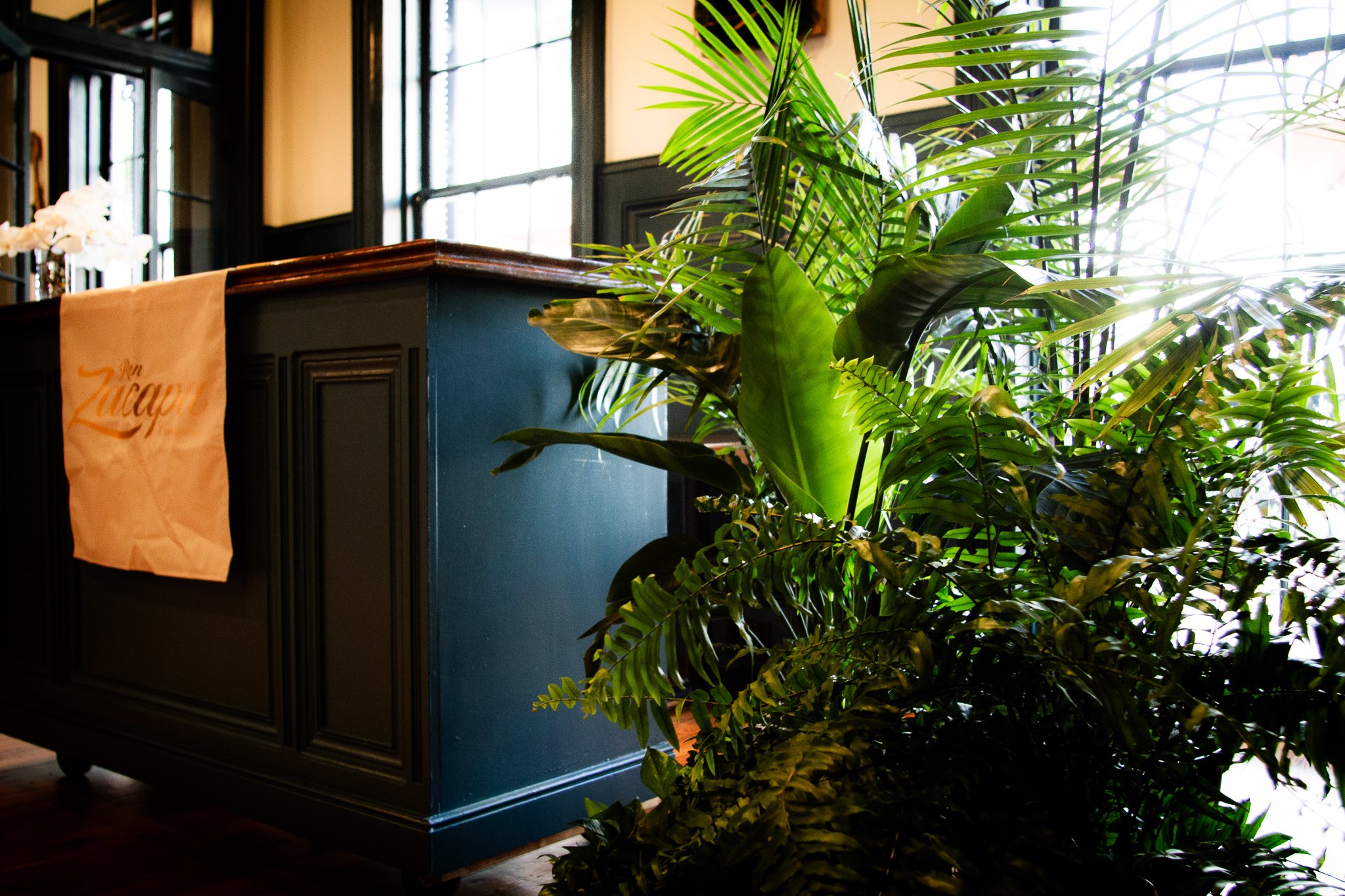 Styled rentals that turn living plants into intentional design features.