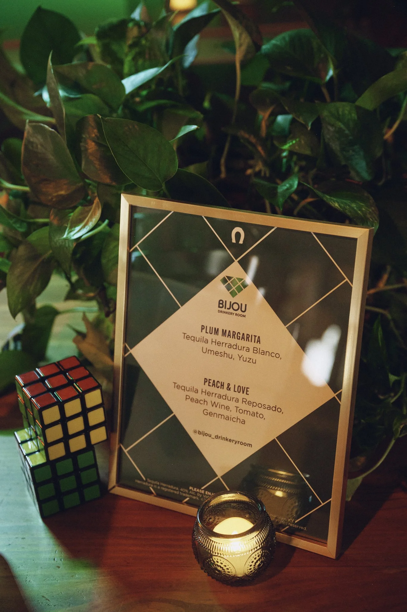 Styled rentals that turn living plants into intentional design features.