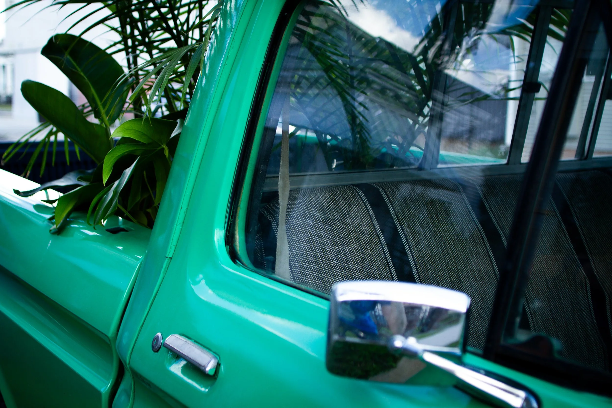 Rental greenery packages built for easy ordering and predictable pricing.