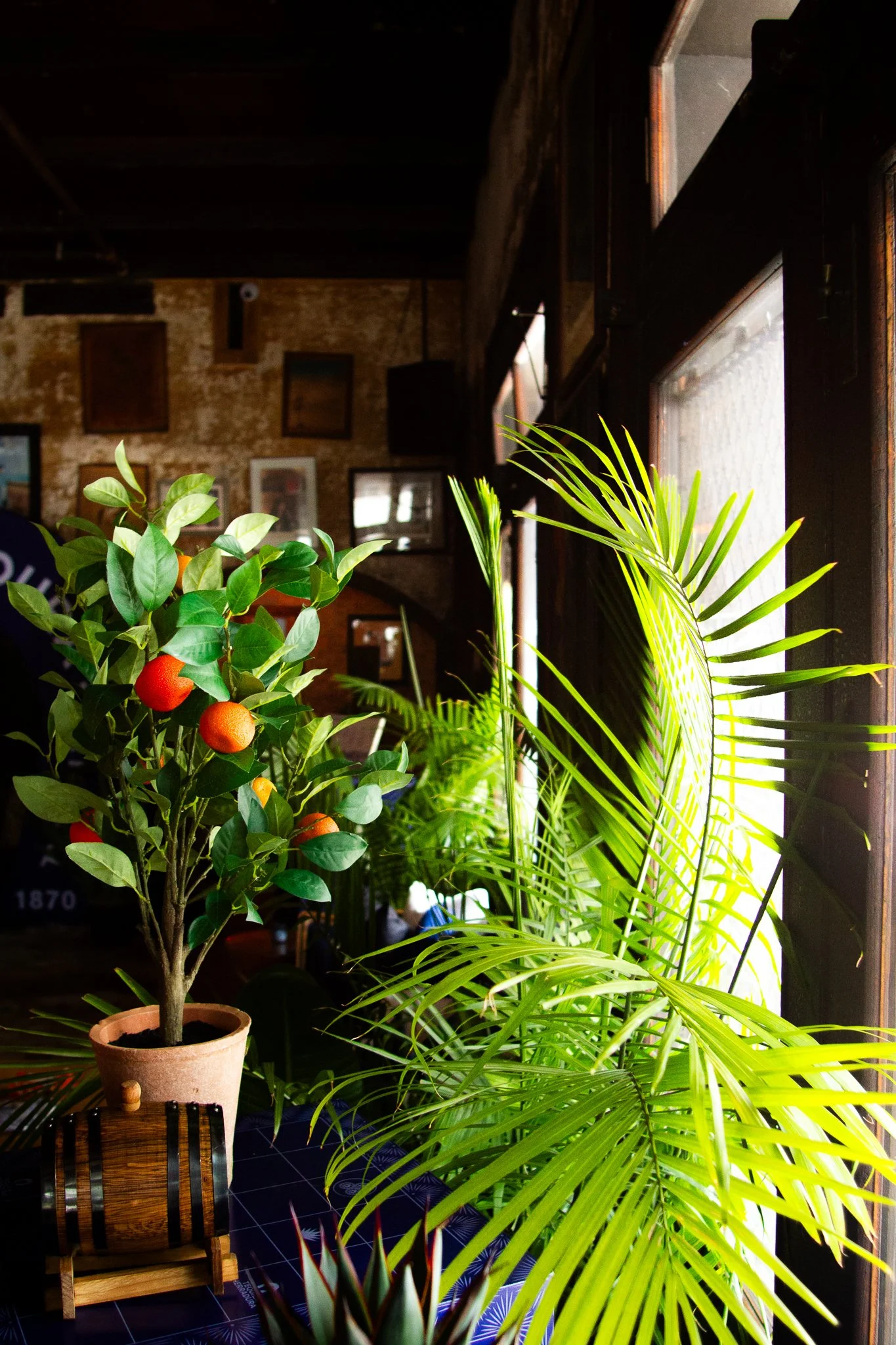 Curated rental plants that bring instant atmosphere to any gathering in New Orleans.