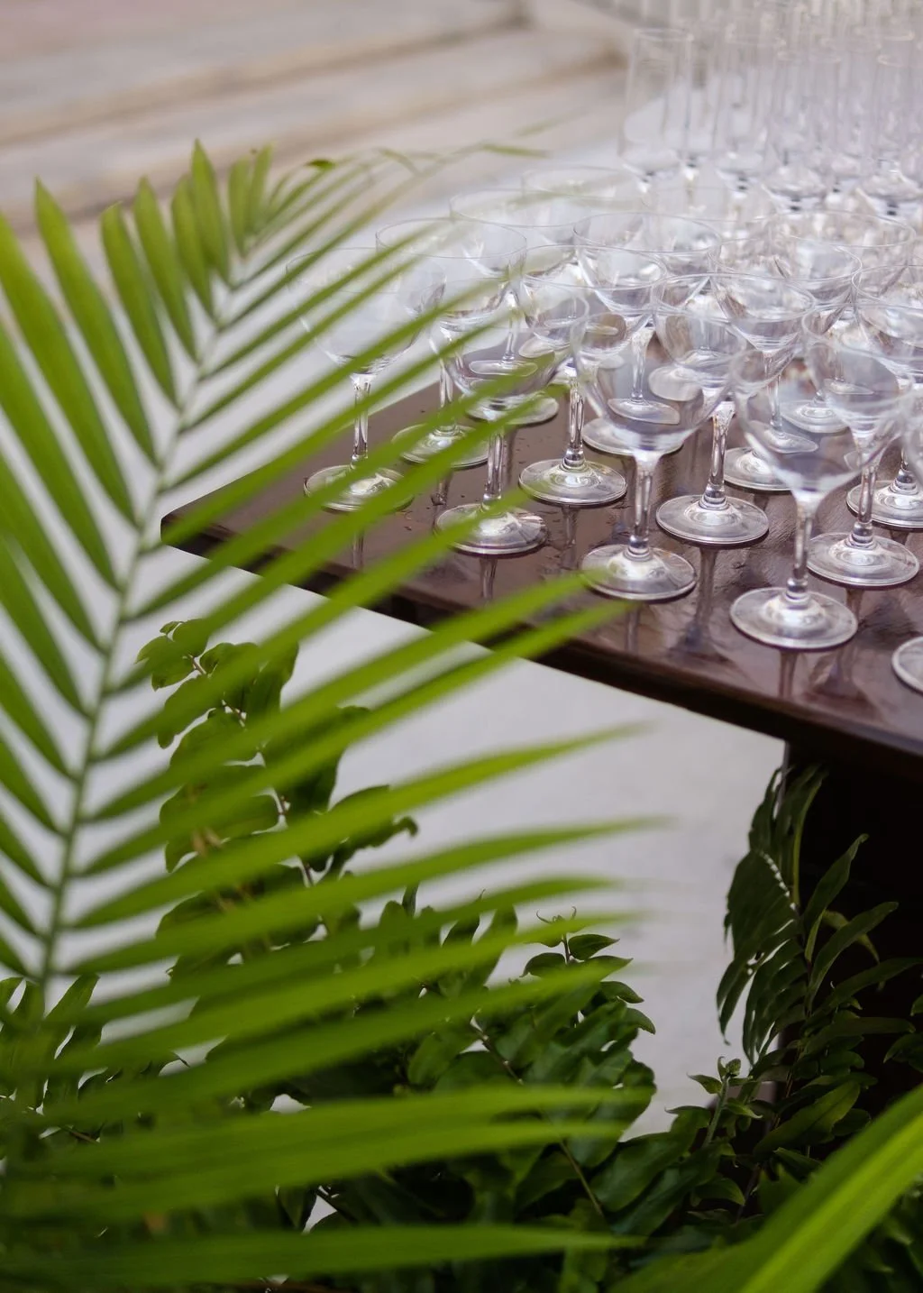new-orleans-plant-rentals-wedding-entrance-greenery.jpg