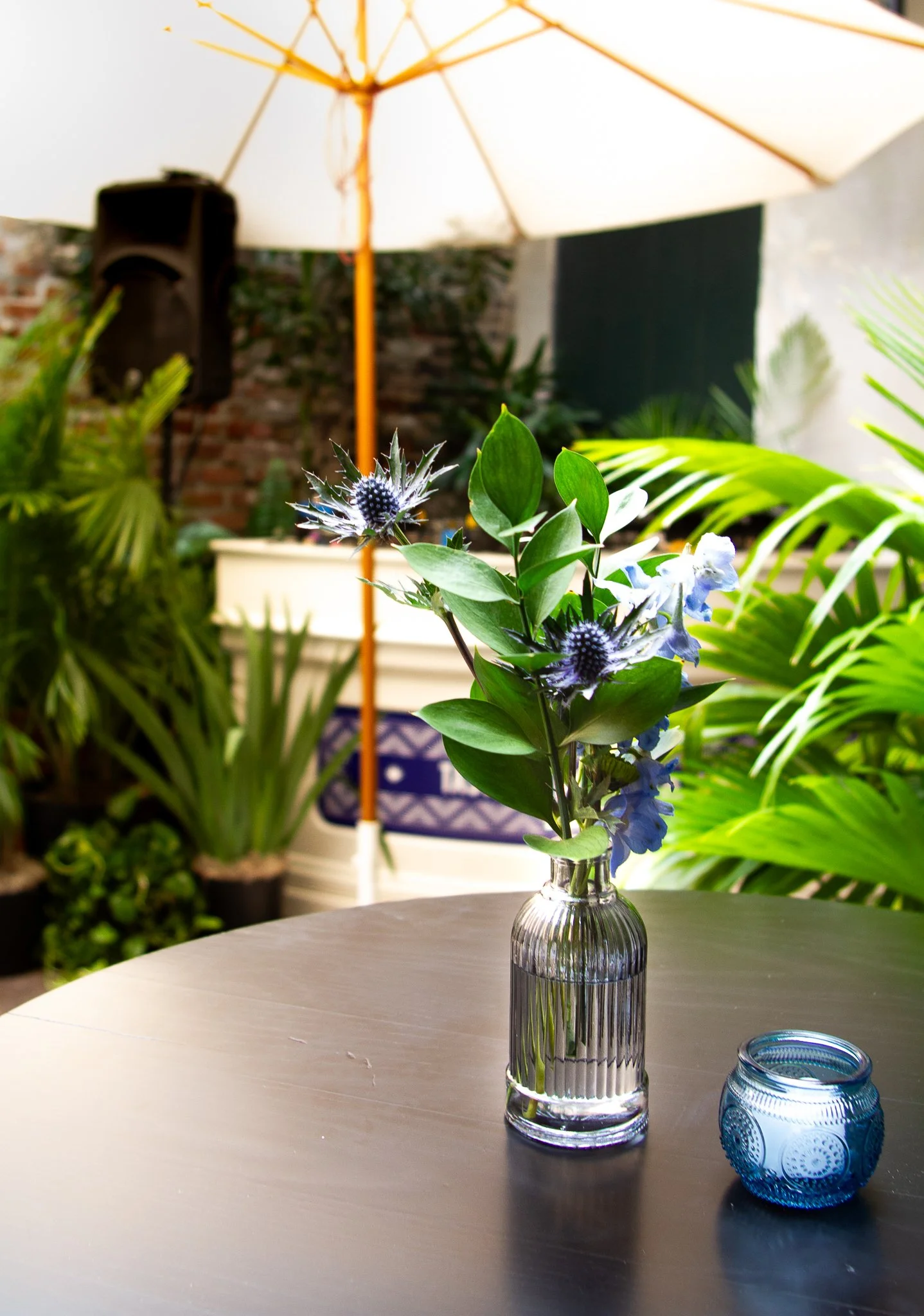 Scalable plant styling adaptable to small lounges or citywide activations.