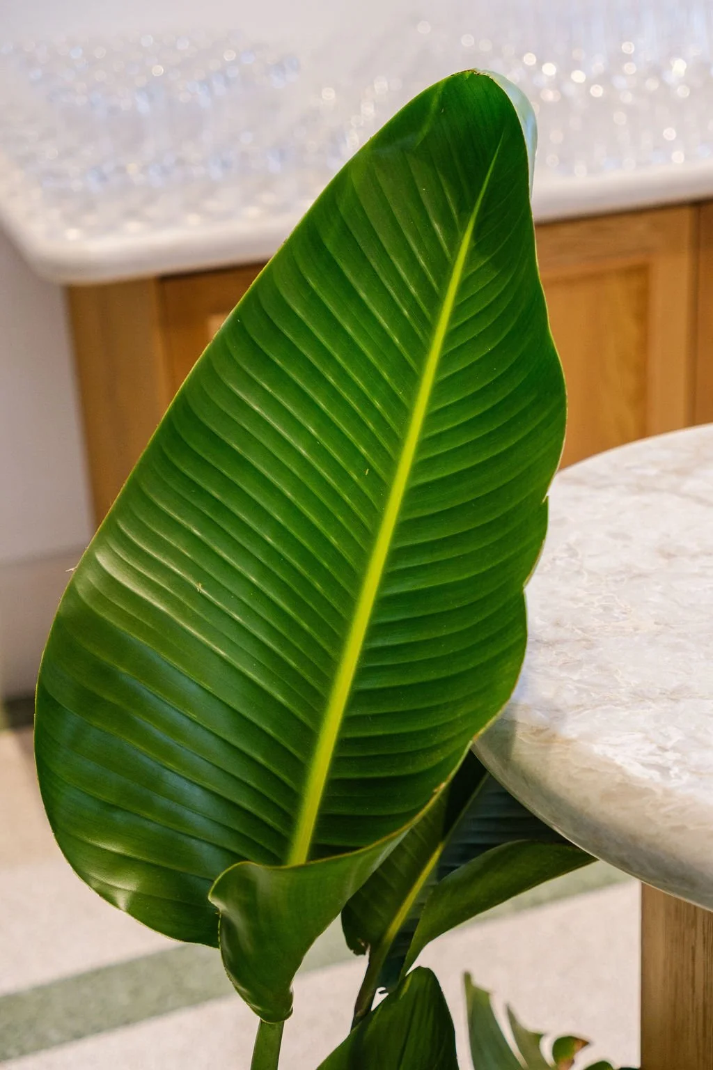 new-orleans-plant-rentals-wedding-bar-full-greenery-installation.jpg