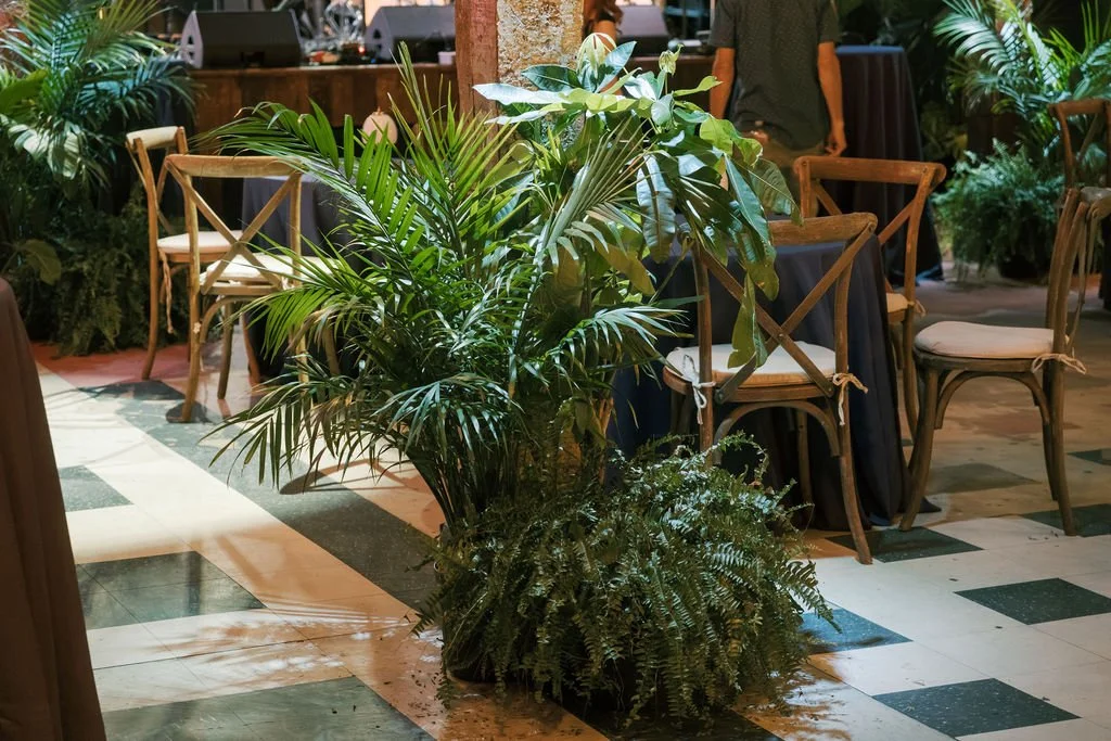 New Orleans plant rentals known for styling, sustainability, and impact.