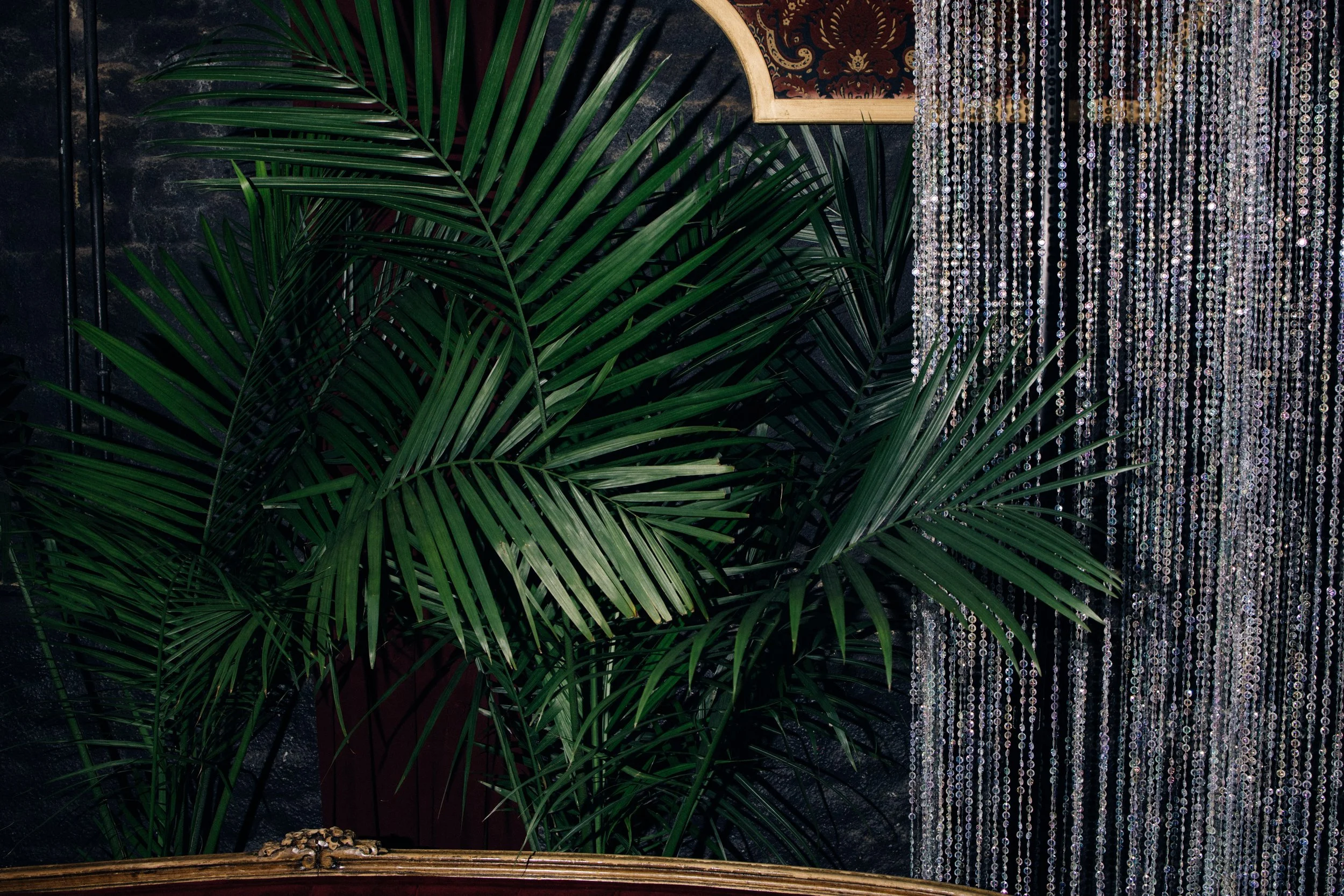 Curated tropical plants creating a welcoming event entrance.