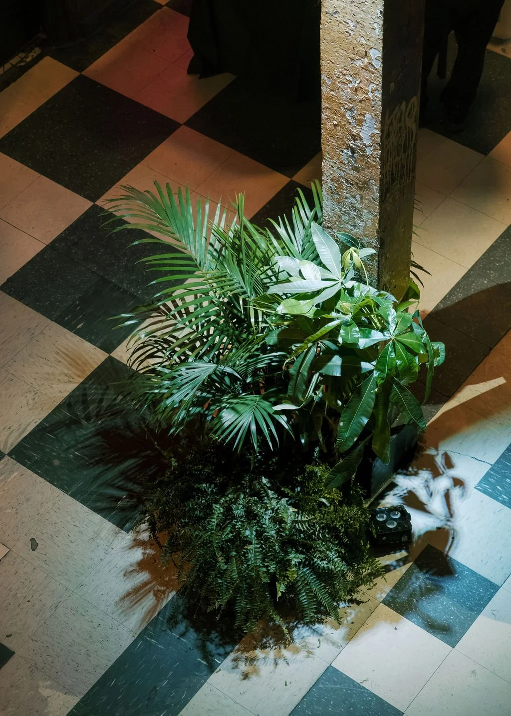 Tropical plant groupings creating a relaxed and sophisticated atmosphere.