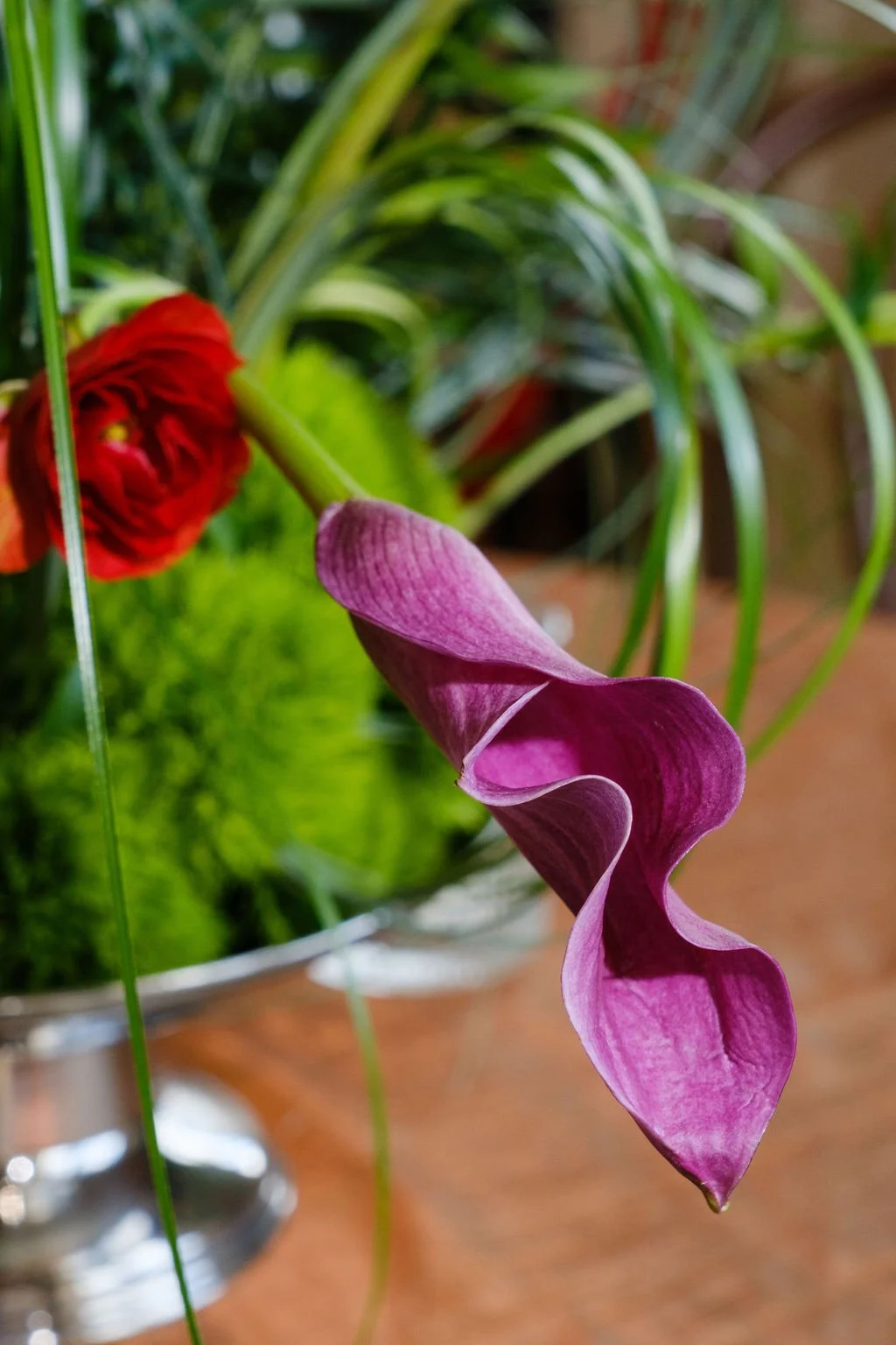 New Orleans plant rentals and Floral