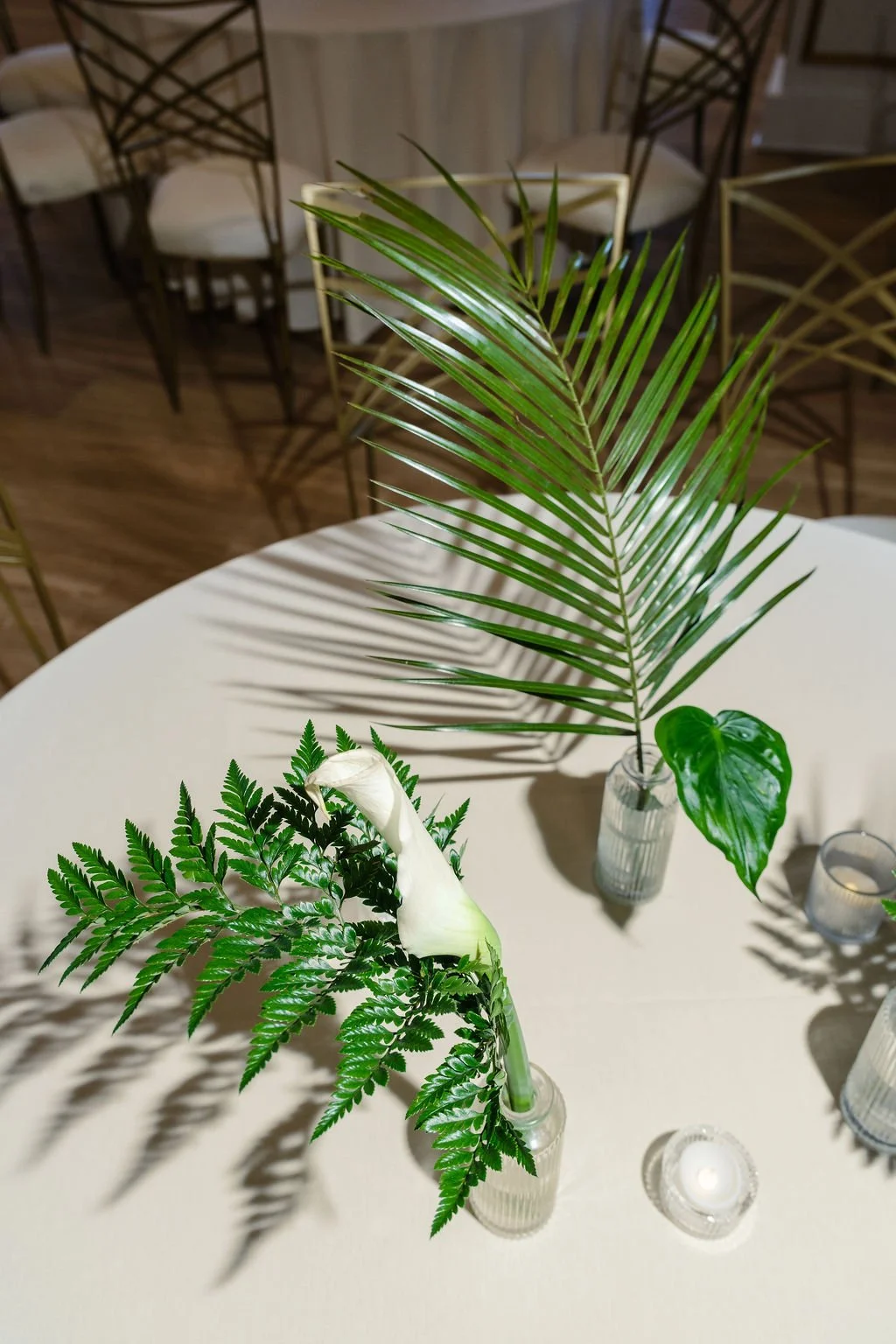 Sustainable greenery rentals enhancing events throughout New Orleans.