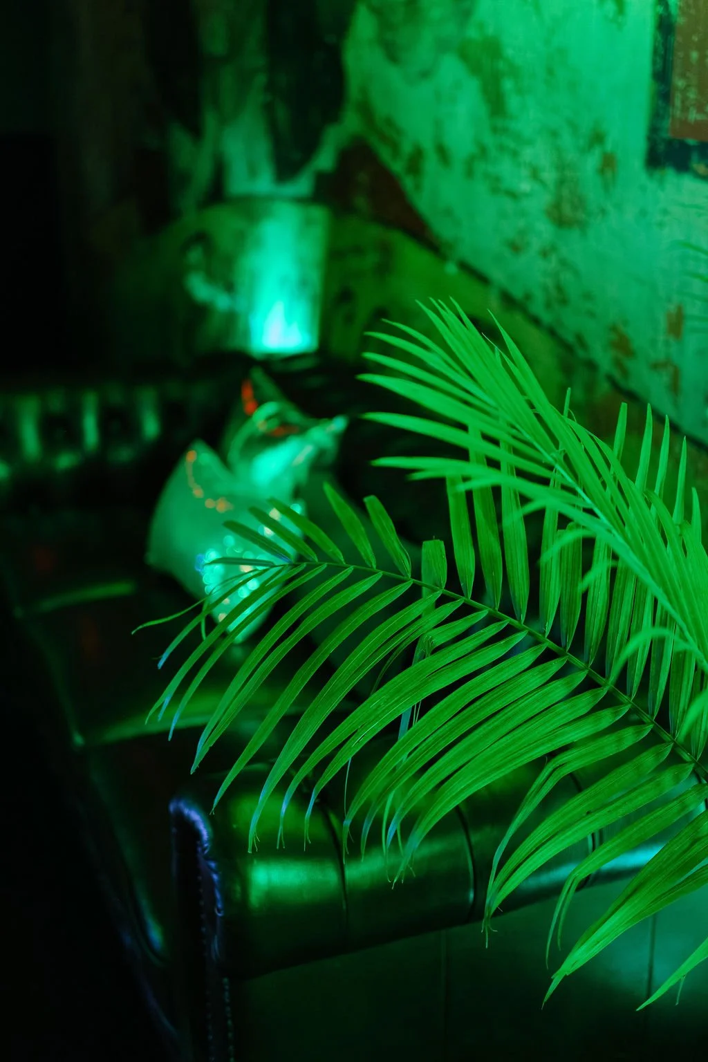 corporate-event-photo-moment-tropical-plants-nola.jpg