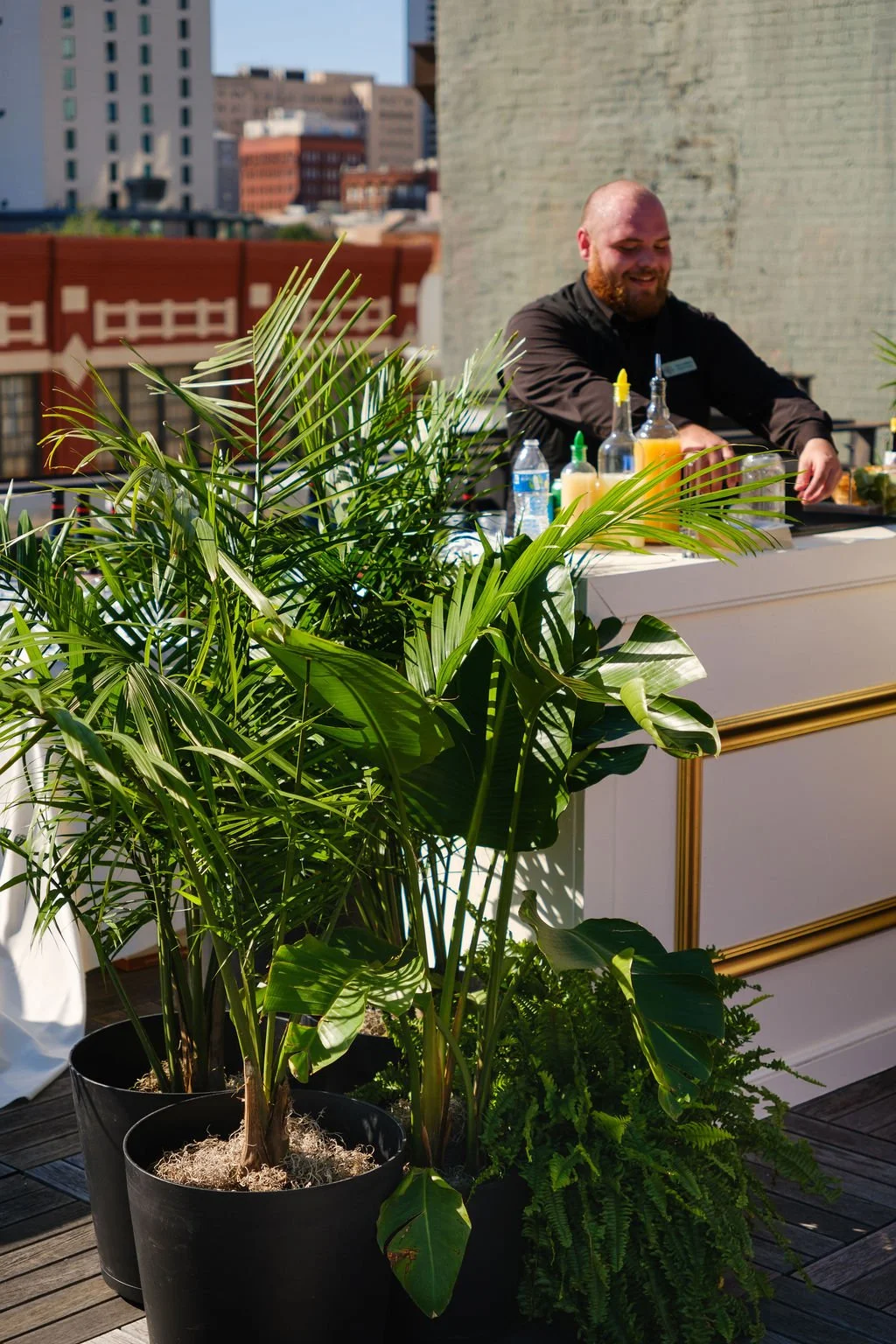 high-end-wedding-bar-framed-with-greenery-jungle-truck.jpg