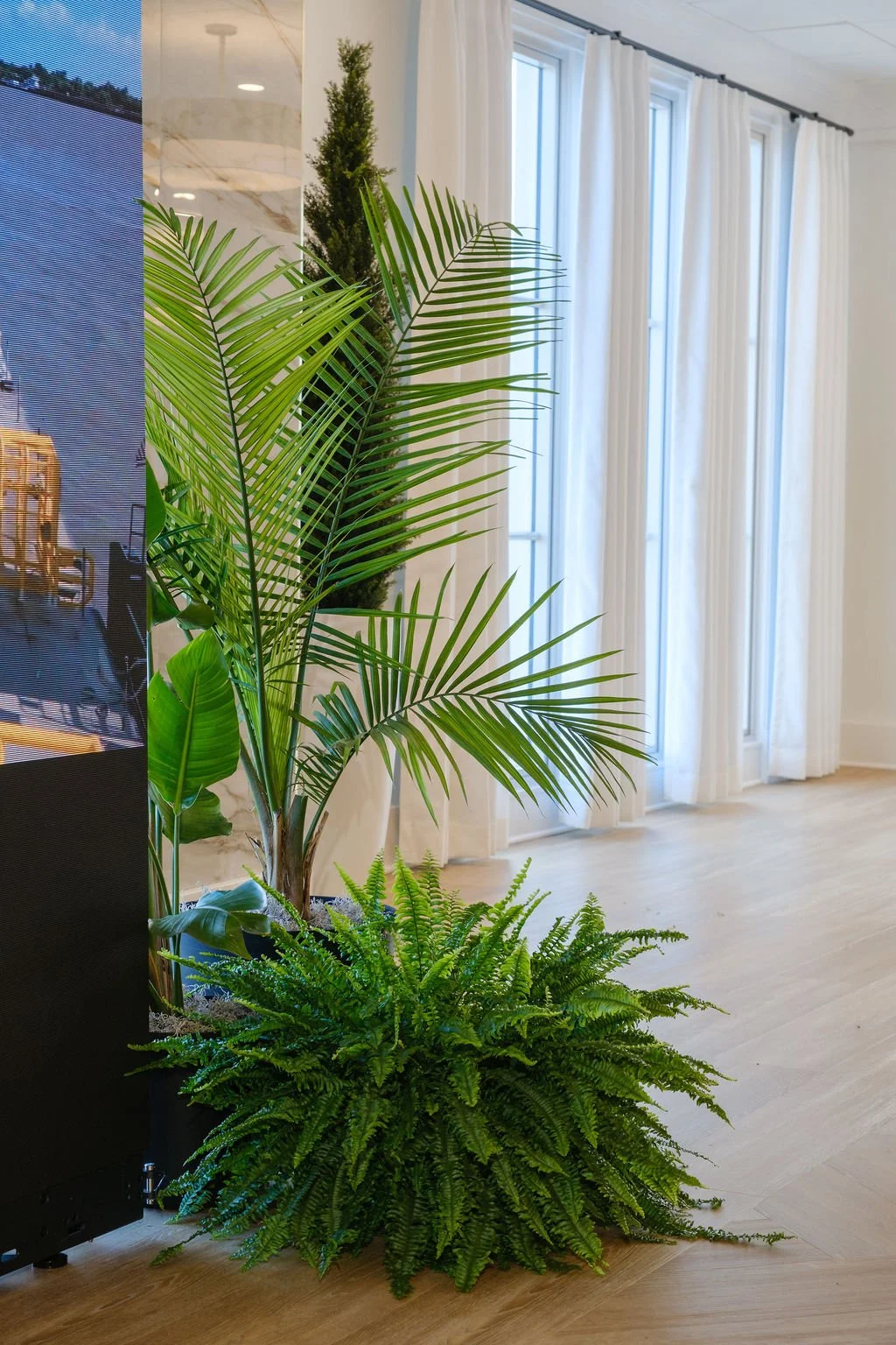 Plant rentals creating natural beauty through sustainable event styling.