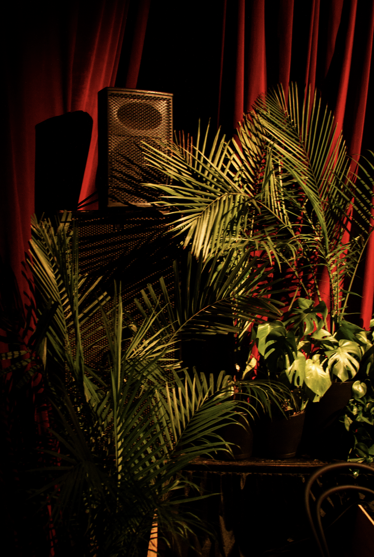 Styled plant rental installation for brand activation in New Orleans