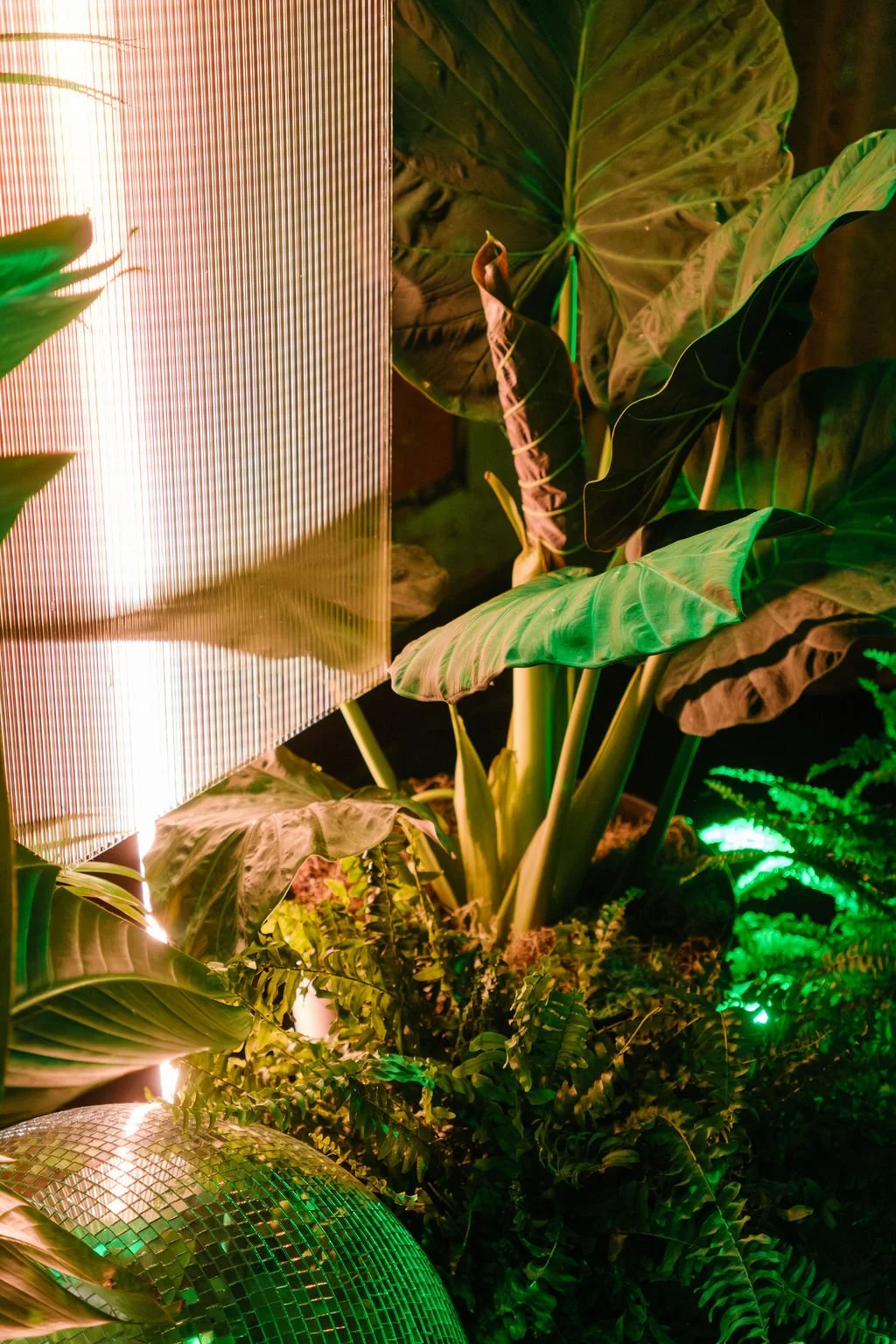 new-orleans-plant-rentals-corporate-event.jpg