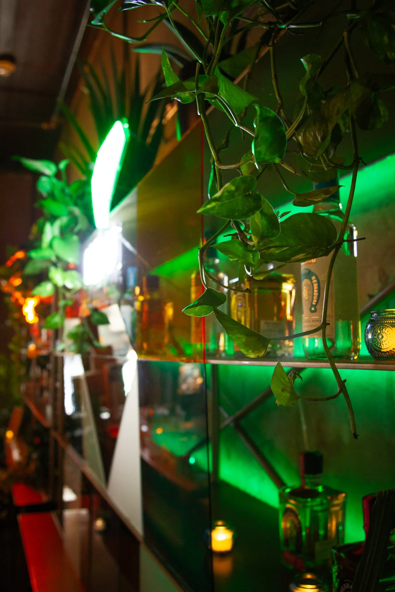 Rental plants that give experiential footprints more depth.